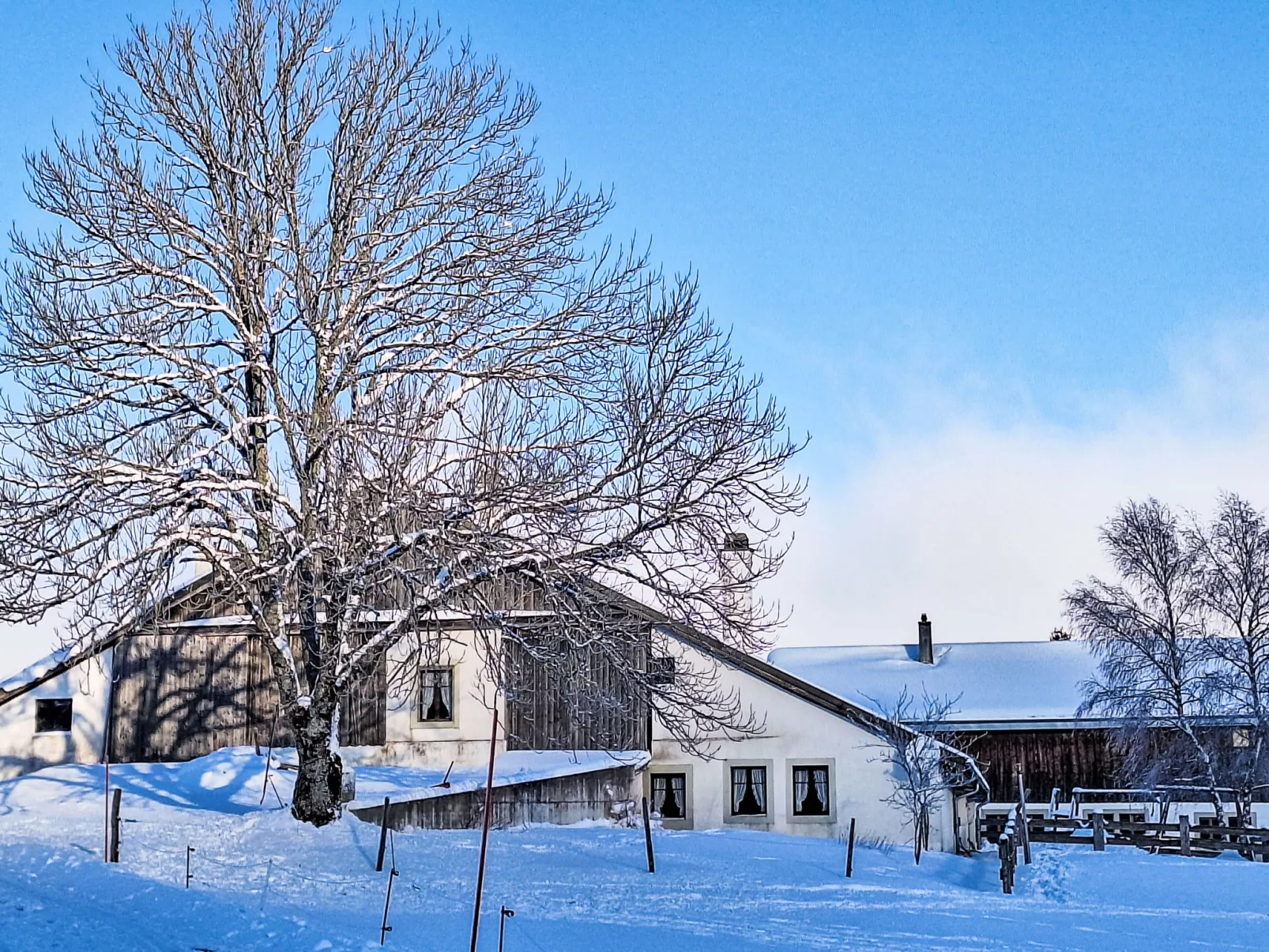 Les Grangettes - Dehors