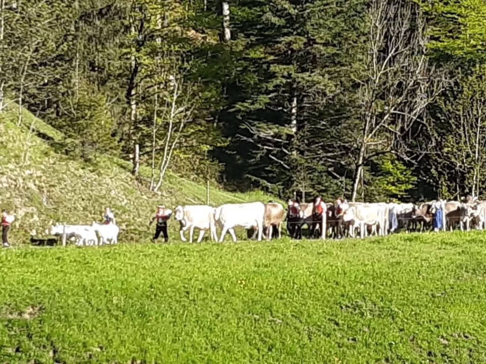 Hof Unterstein - Dehors