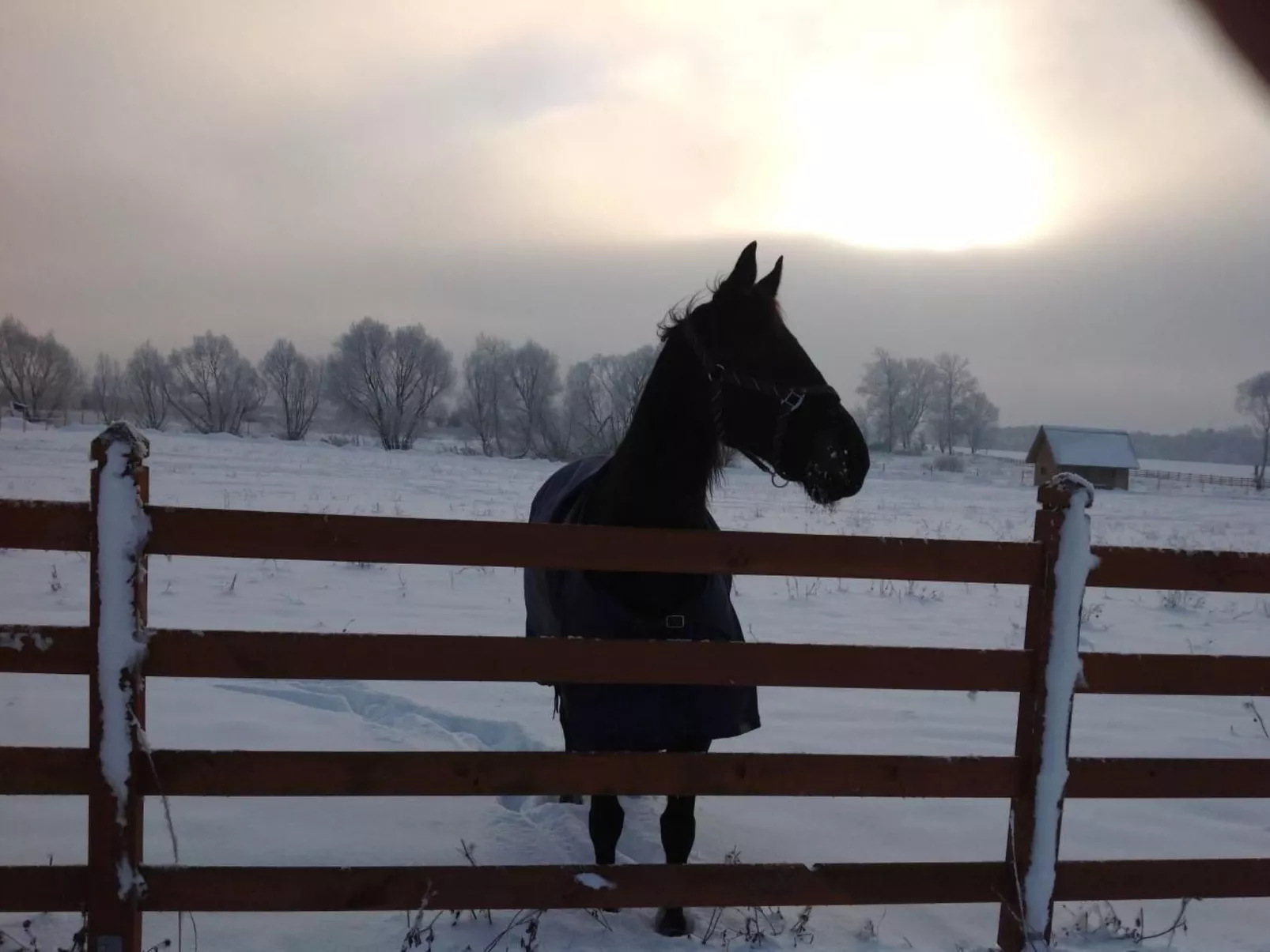 In Rozwarowo mit Schöner Terrasse - Outside