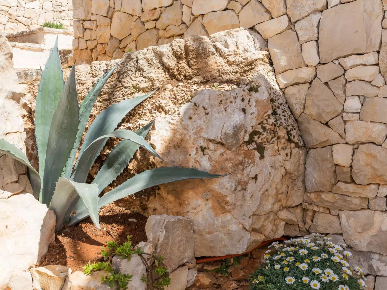 Ferienvilla "Sunset Bliss Retreat" - Dehors