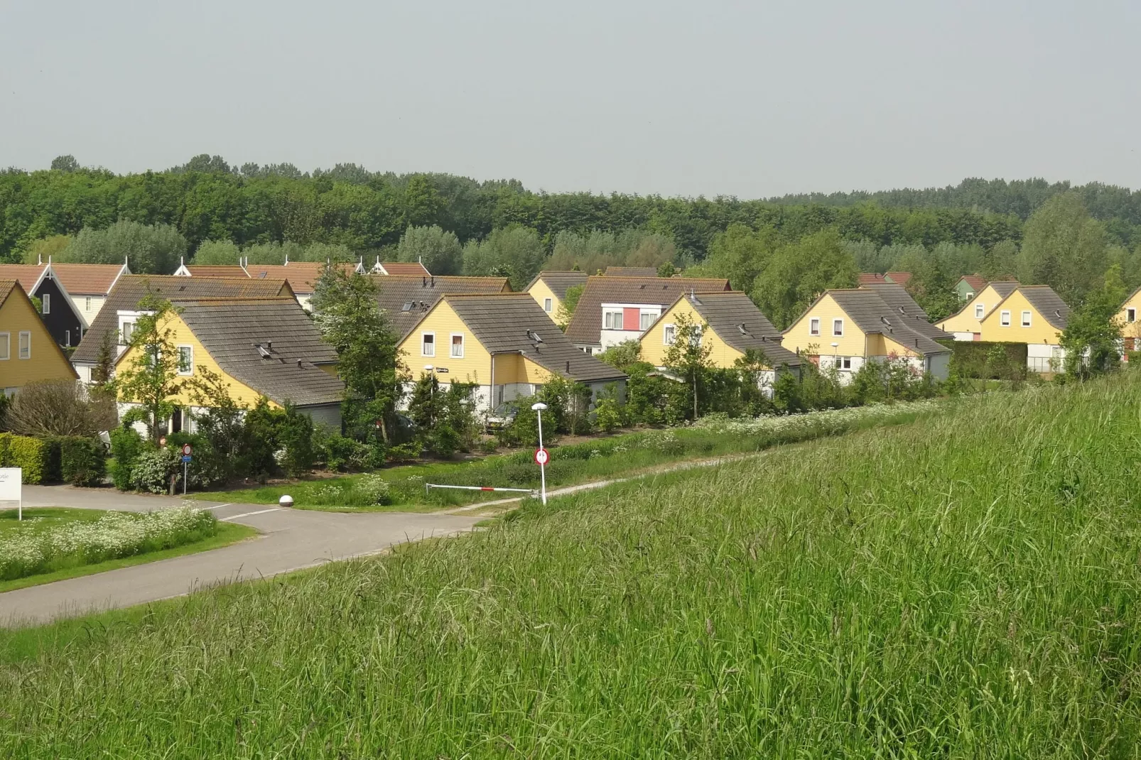 Villapark De Oesterbaai 81-Extérieur été