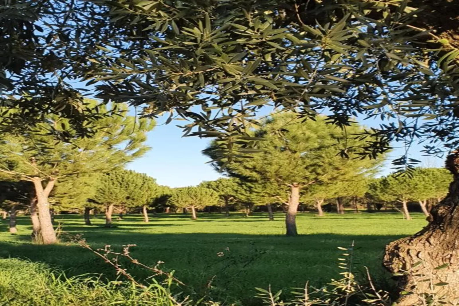 Casa Bela Esperança - Zones été à 20 km