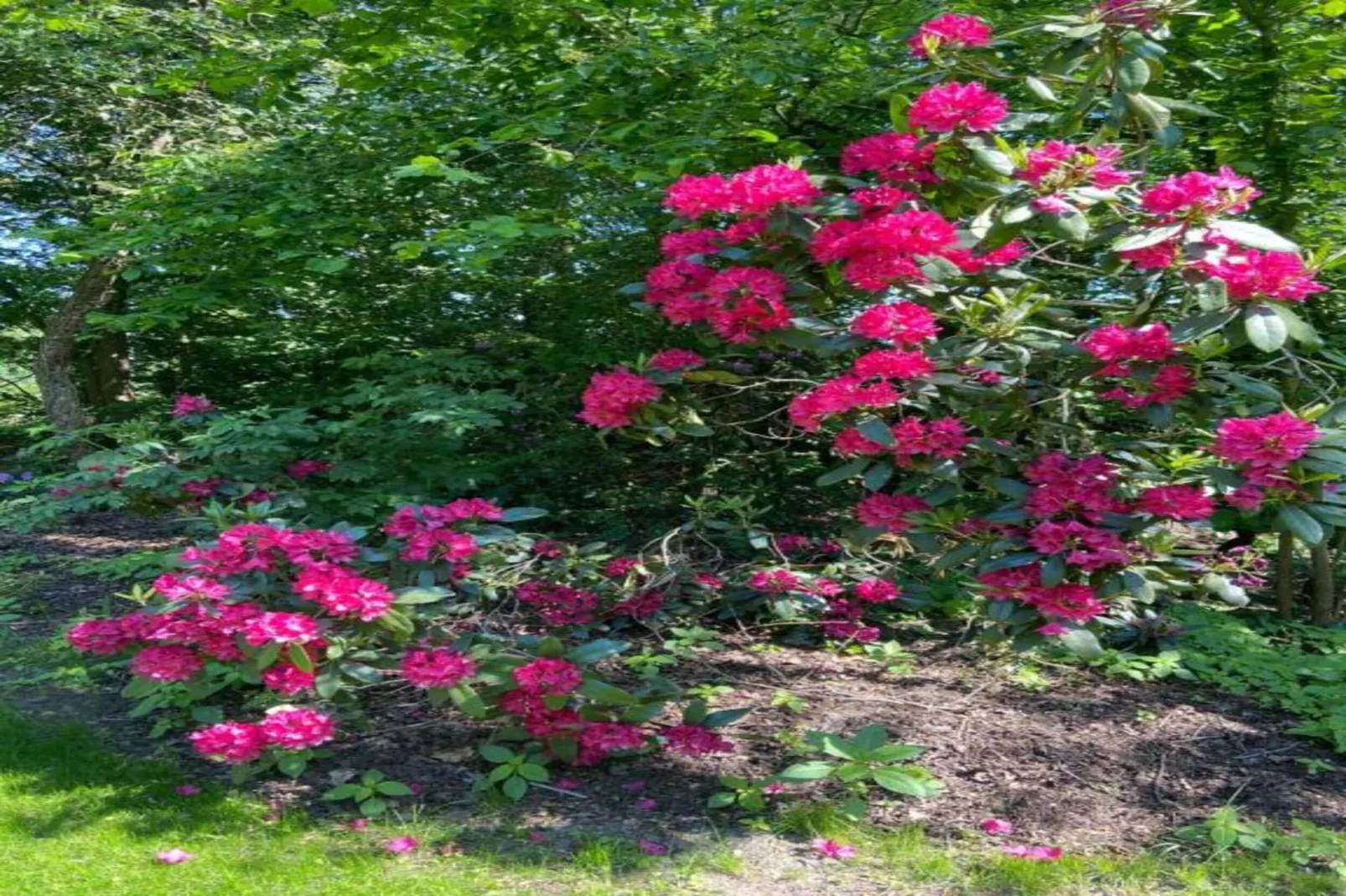 Chalet Egel - Gebiete Sommer 20 km