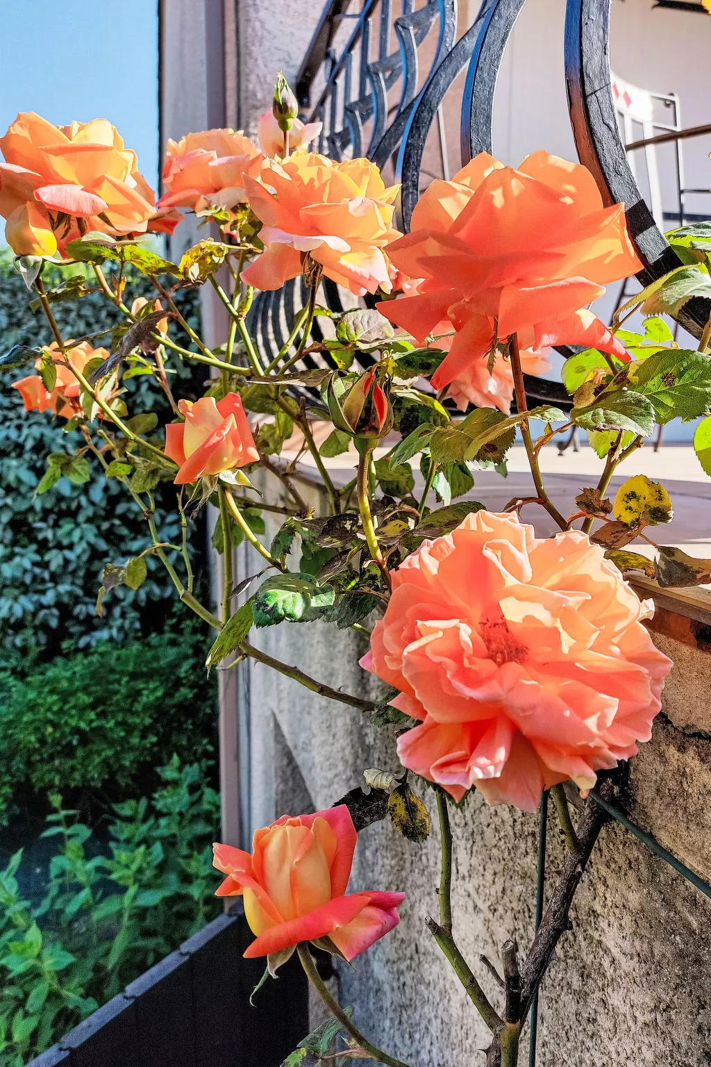 Urlaub im Süden zwischen Meer und Bergen - Outside