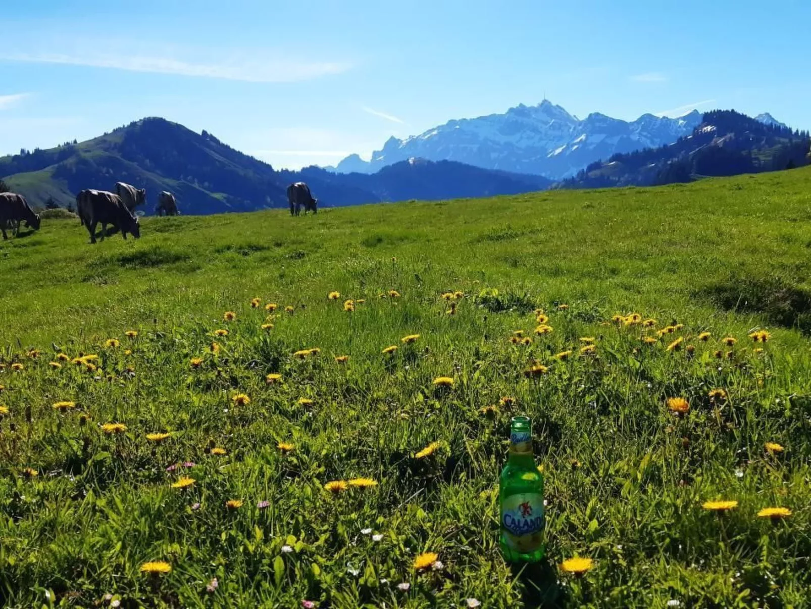 Hof Unterstein - Dehors