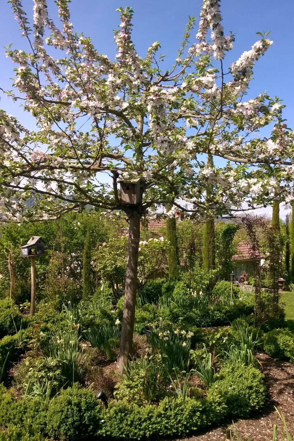 Villa Romantica - Outside