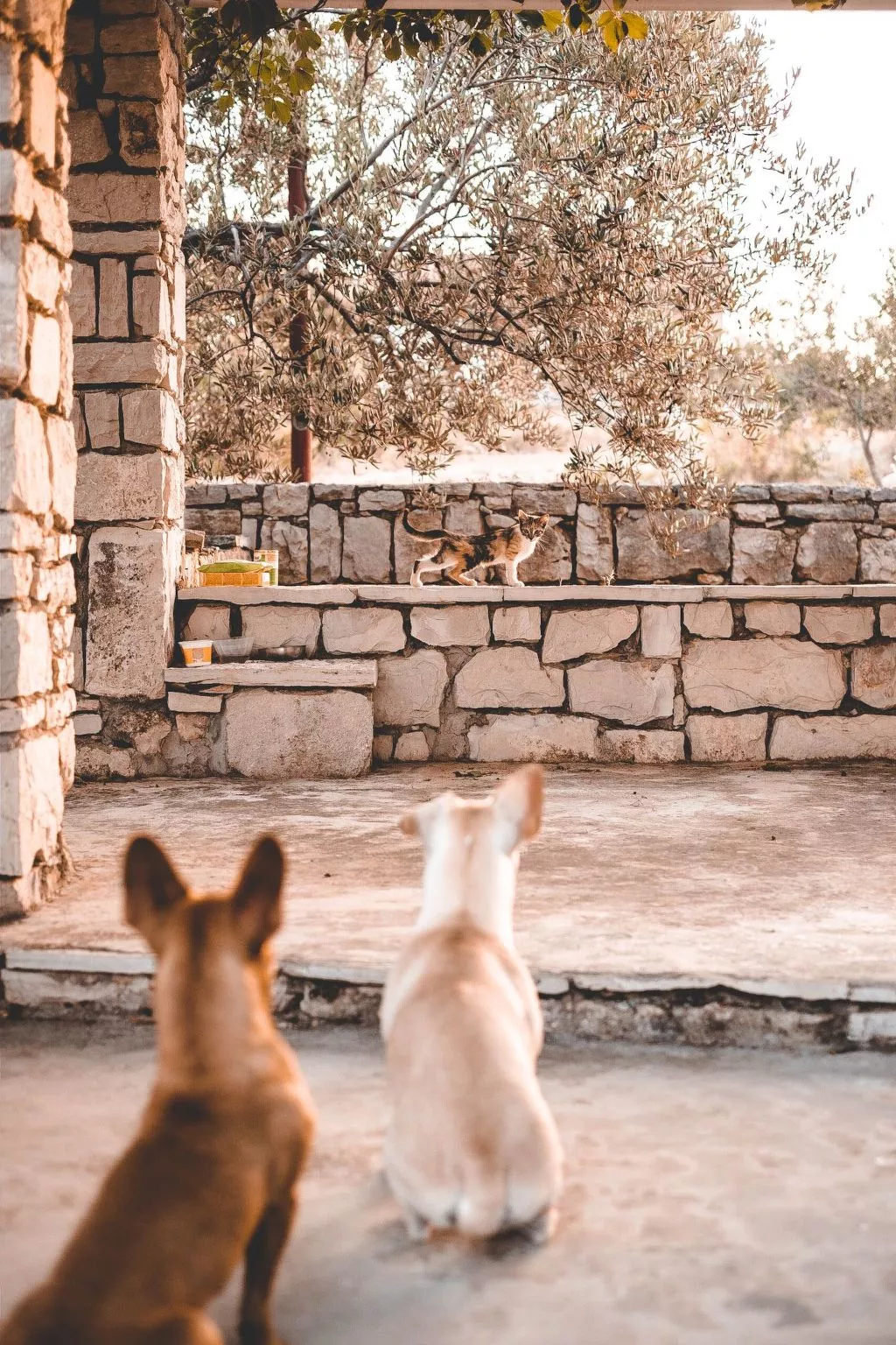 Haus am Meer Šolta - Draußen