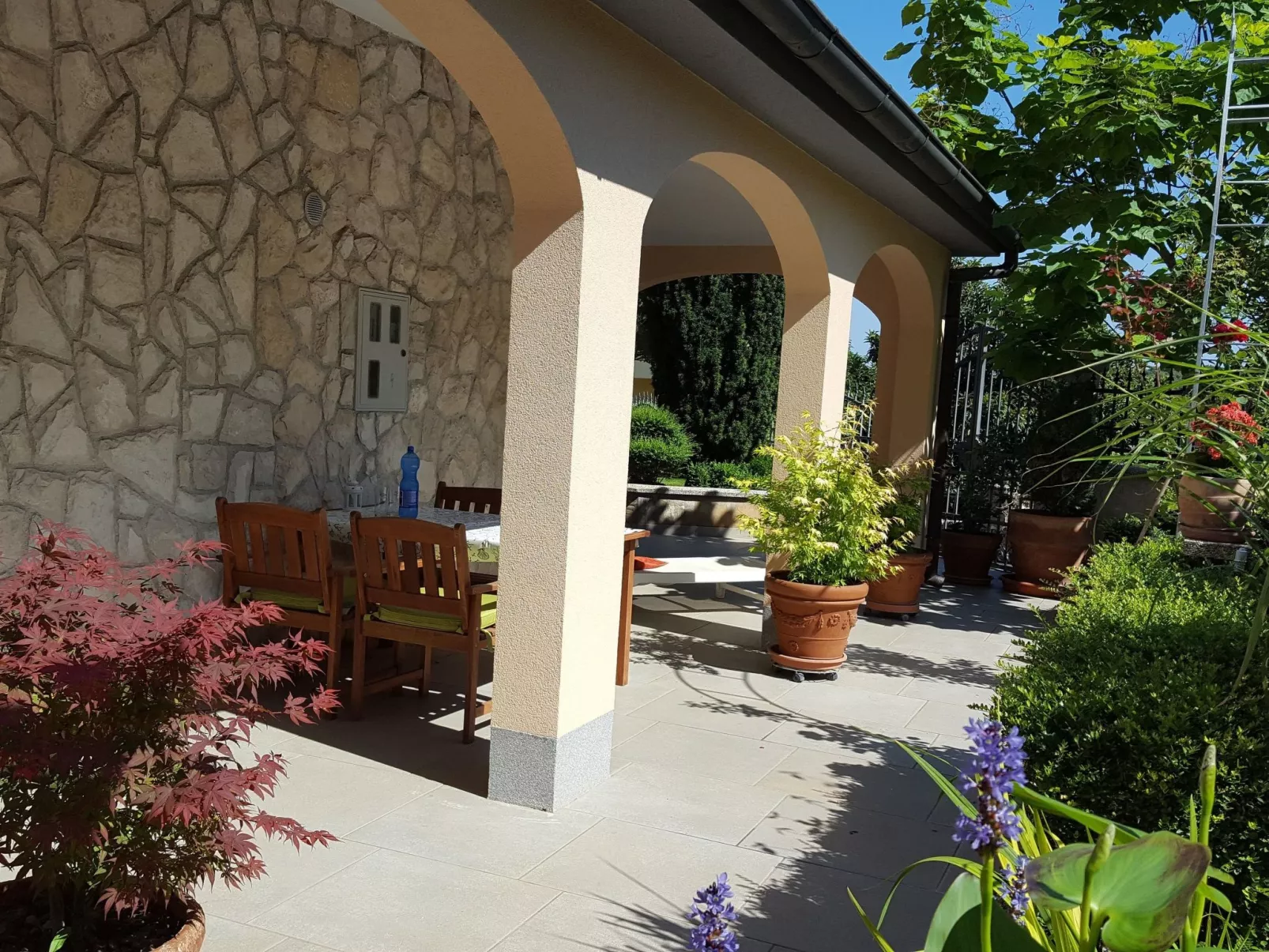 Ginkgo 1 - Image-tags.info