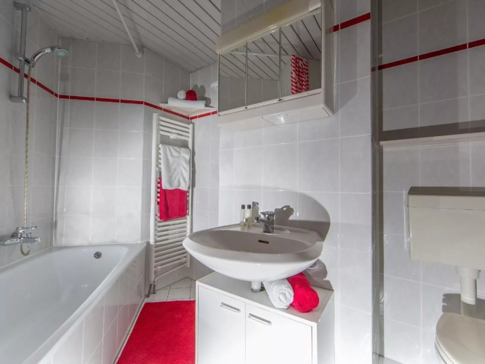 Appartement in Pjescana Uvala mit Großer Terrass - Image-tags.info