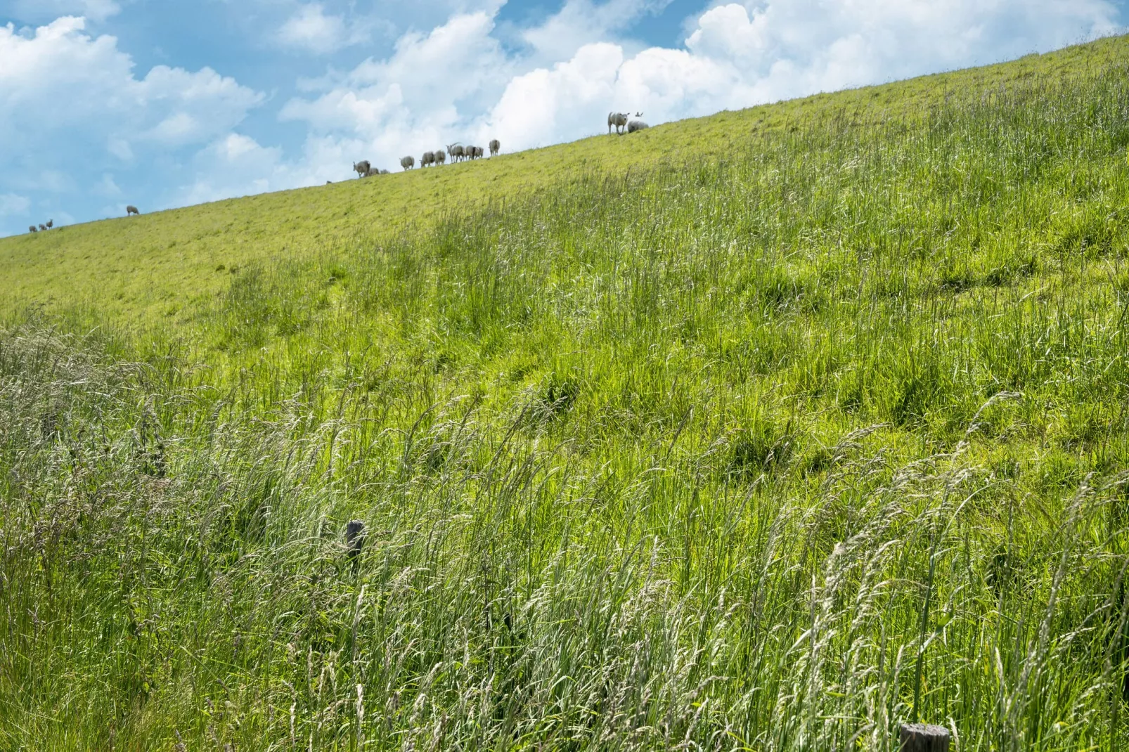 Landingsweg 80-Areas summer 5km