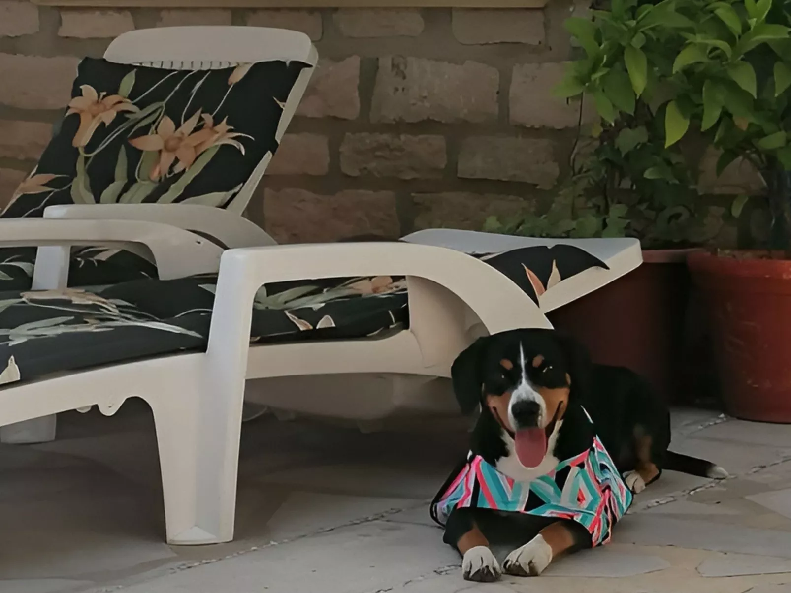 La Soleillade apt mit exklusiver Nutzung des großen Pools - Image-tags.info