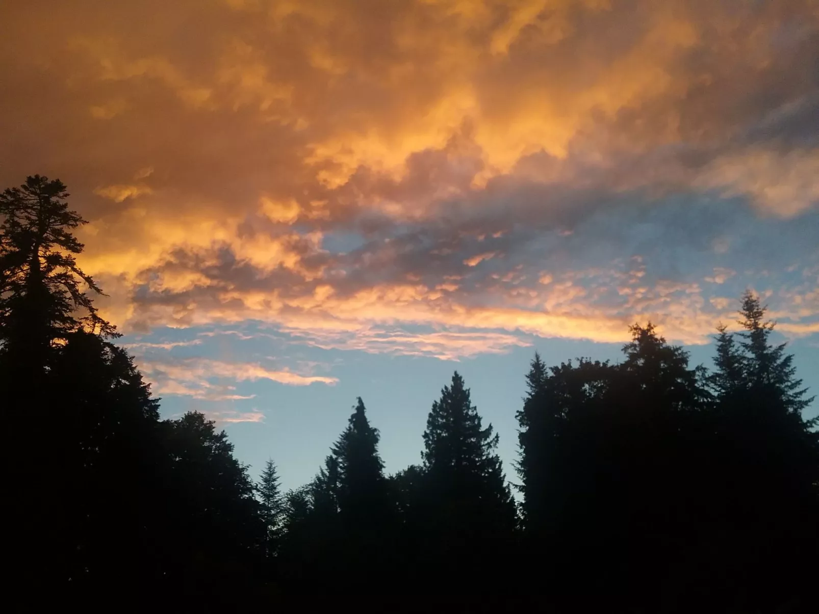 MaisonMazerand    Wohnen - Entspannen - Genießen - Draußen