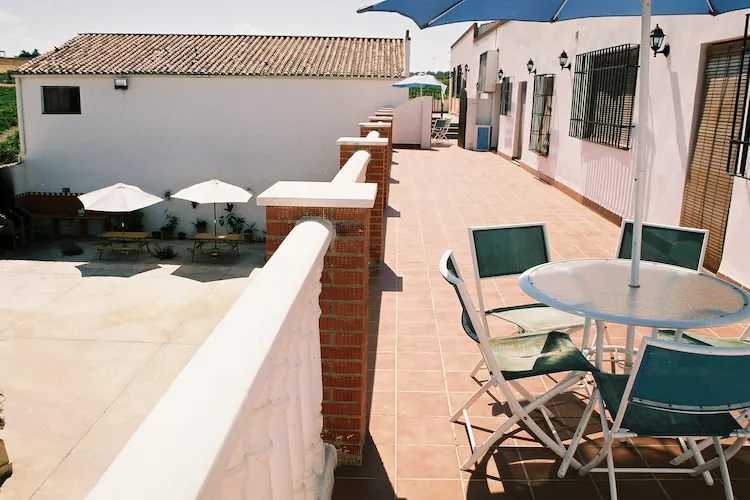 El Patriarcal - Terrasse/Balkon