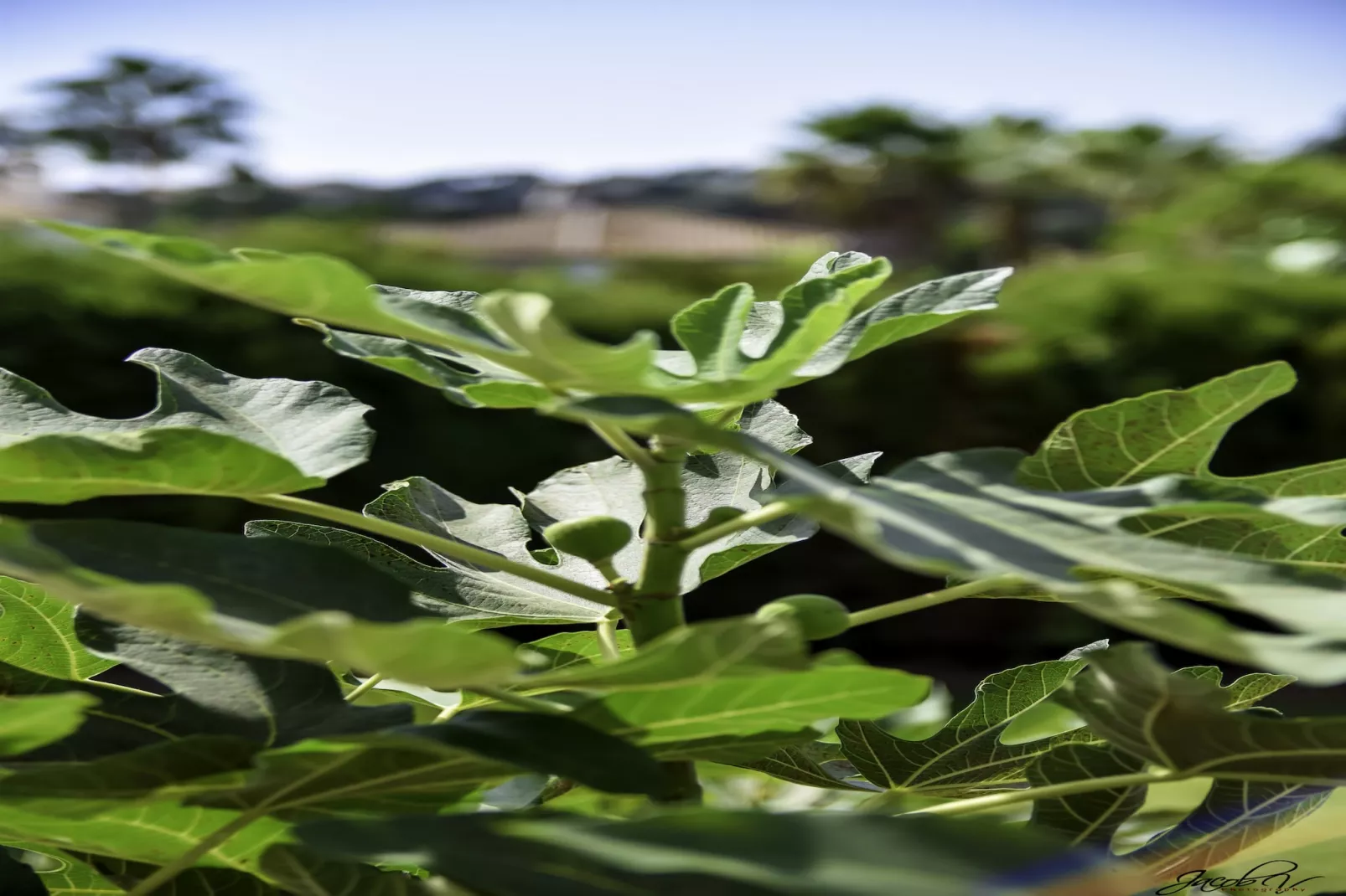 Tranquil Villa with Sea Views & Heated Pool! - Ambiance