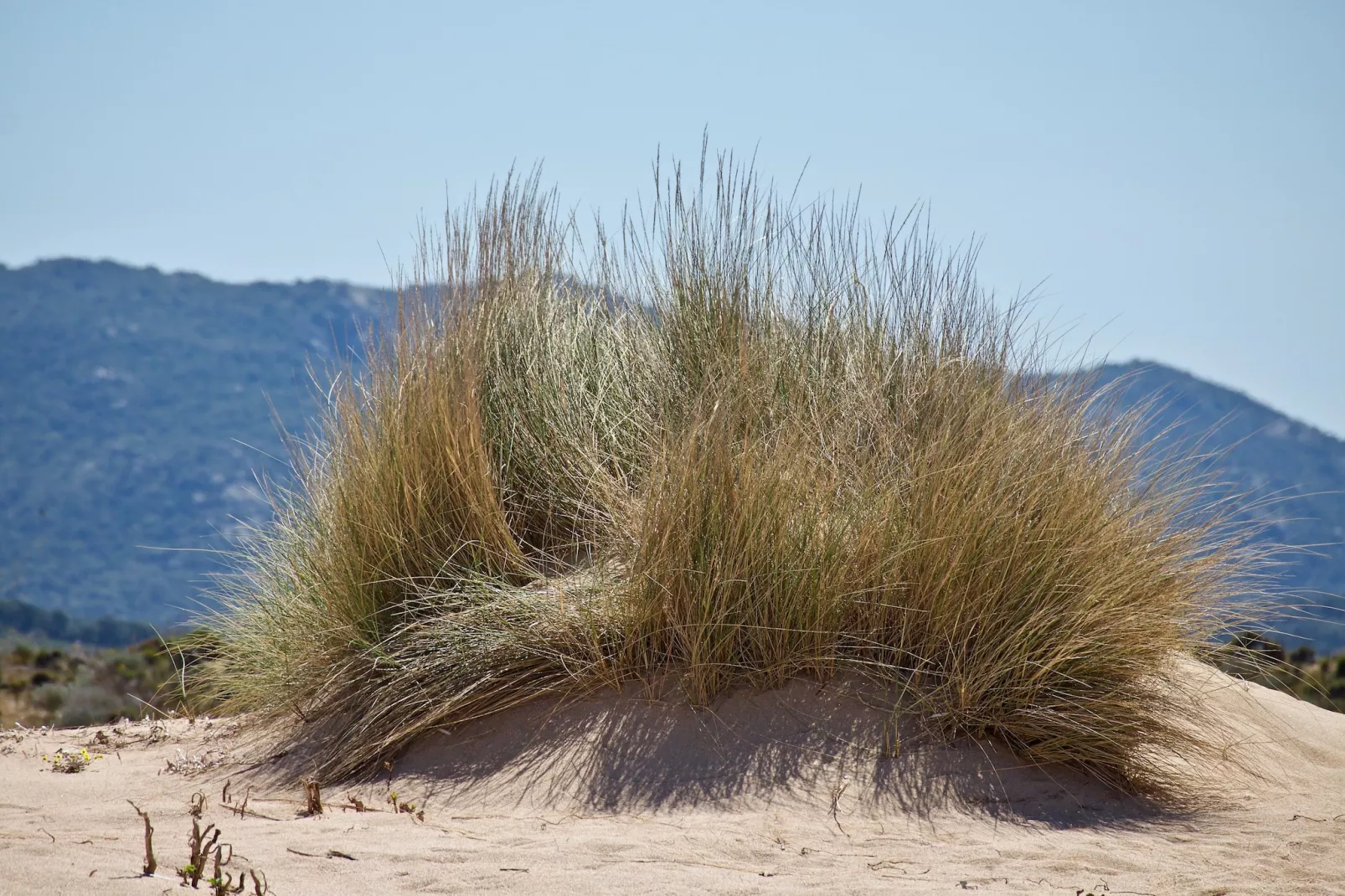 Il Ginepro - Zones été à 5 km