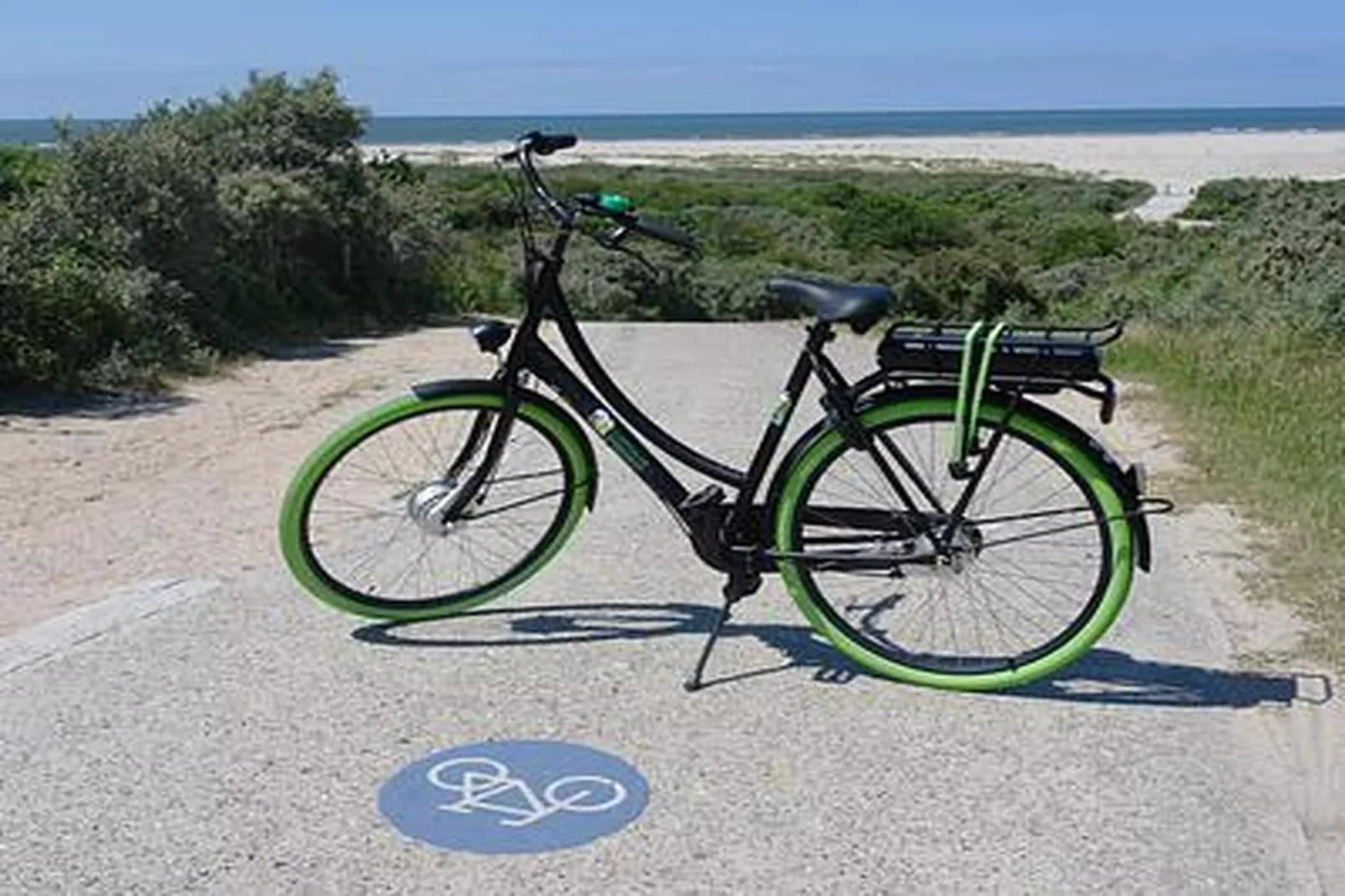 Duinhoeve Chalet Vogel - Huisdier niet toegestaan - Ambiance
