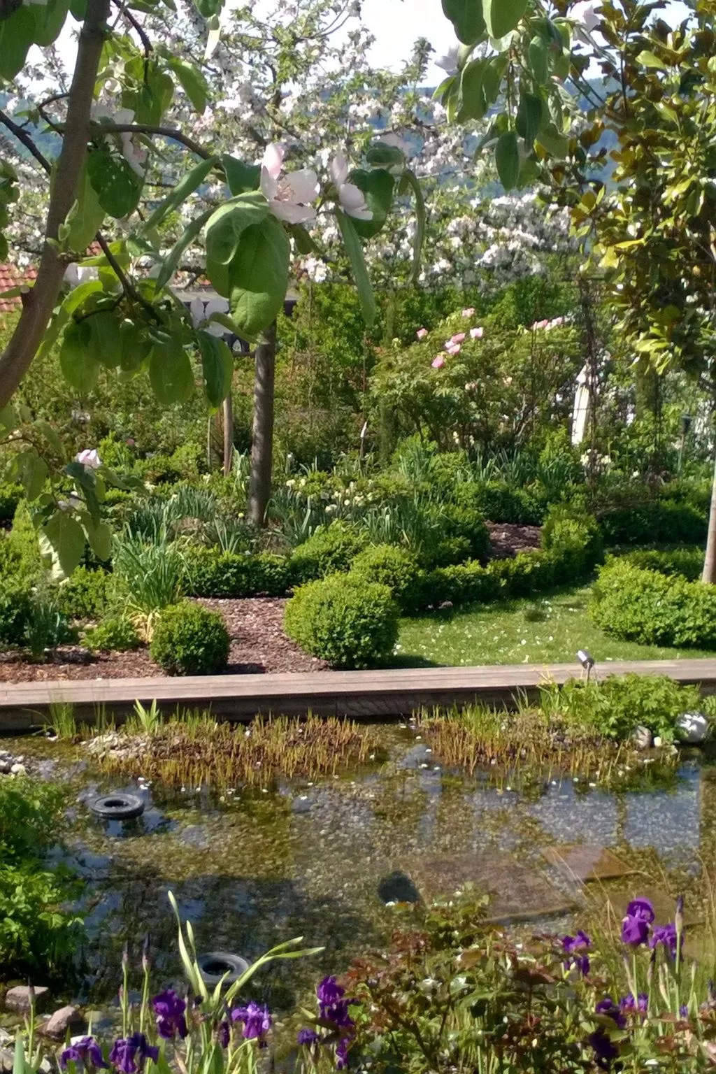 Villa Romantica - Outside