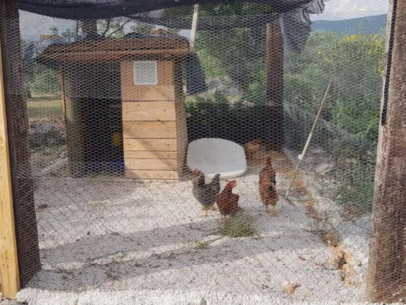 Eco Villa Solus with pool - Image-tags.info