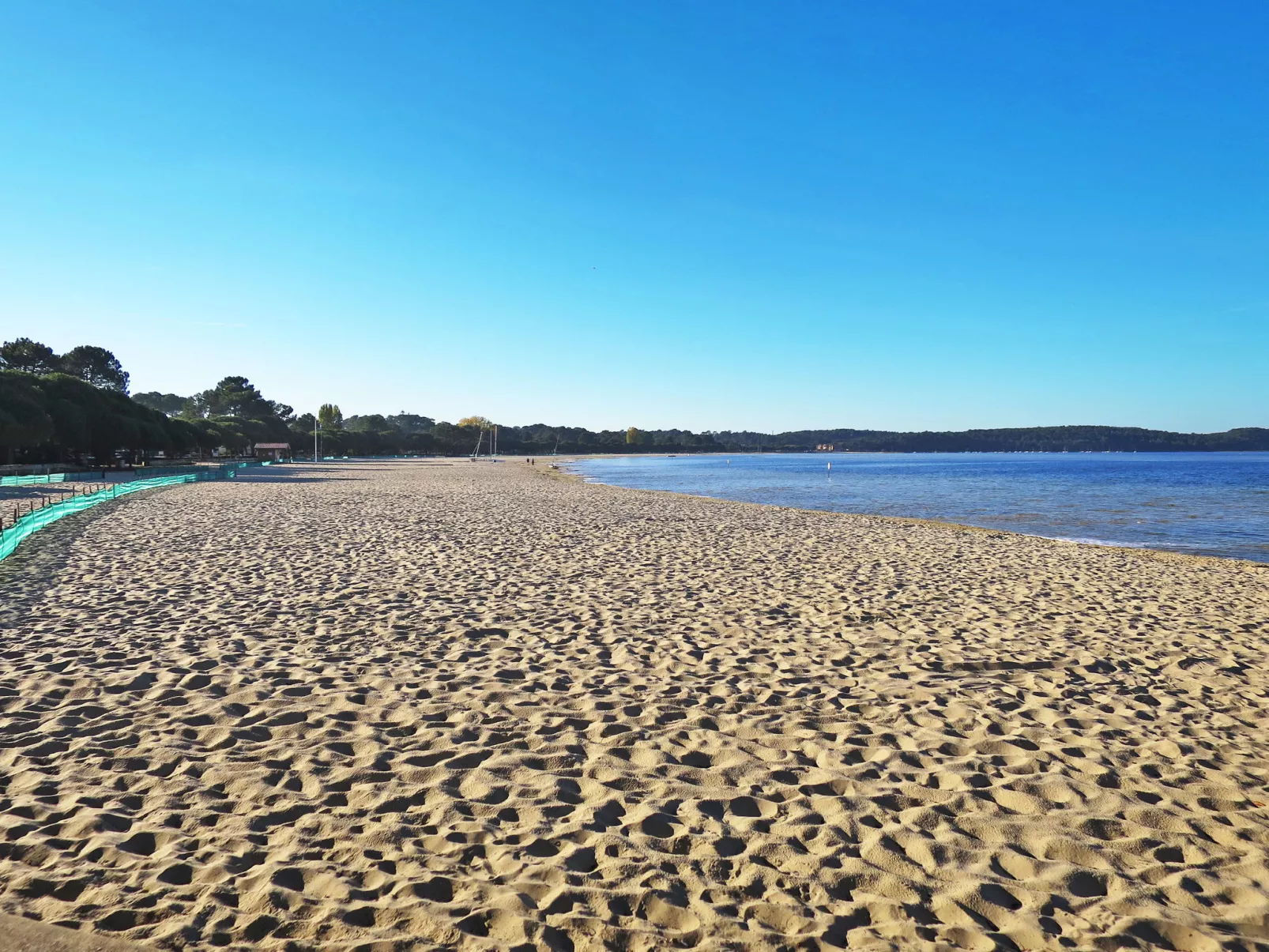 Les Grands Pins - Environnement