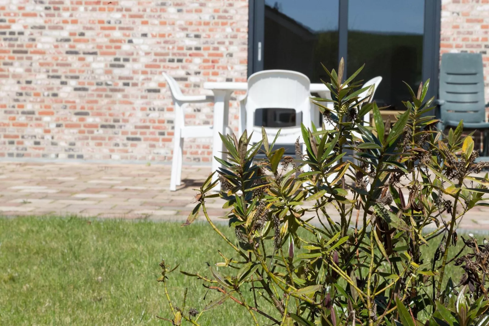 Kustwoning Baarland in Zeeland-Gardens summer