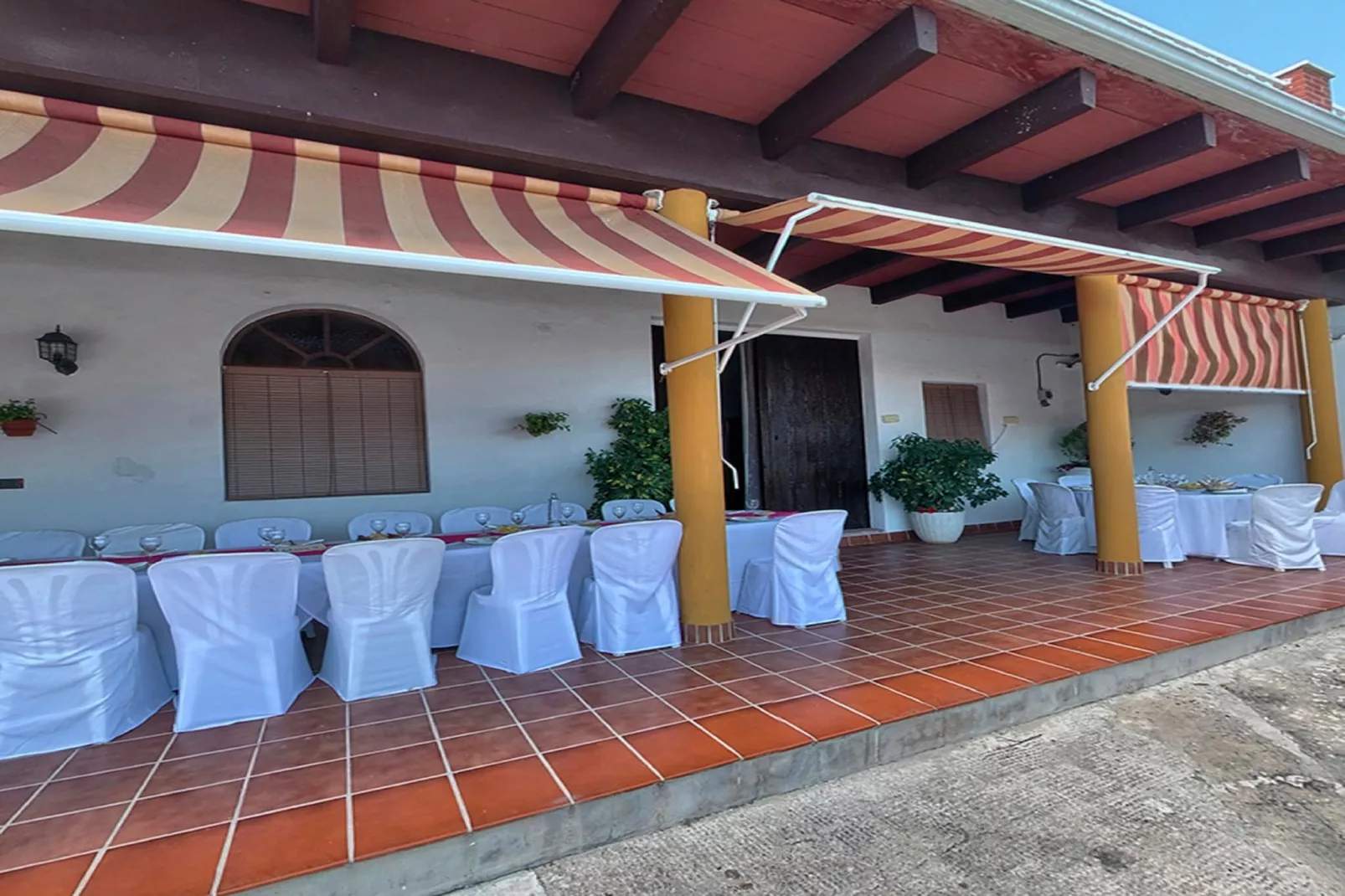 El Patriarcal - Terrasse/Balkon