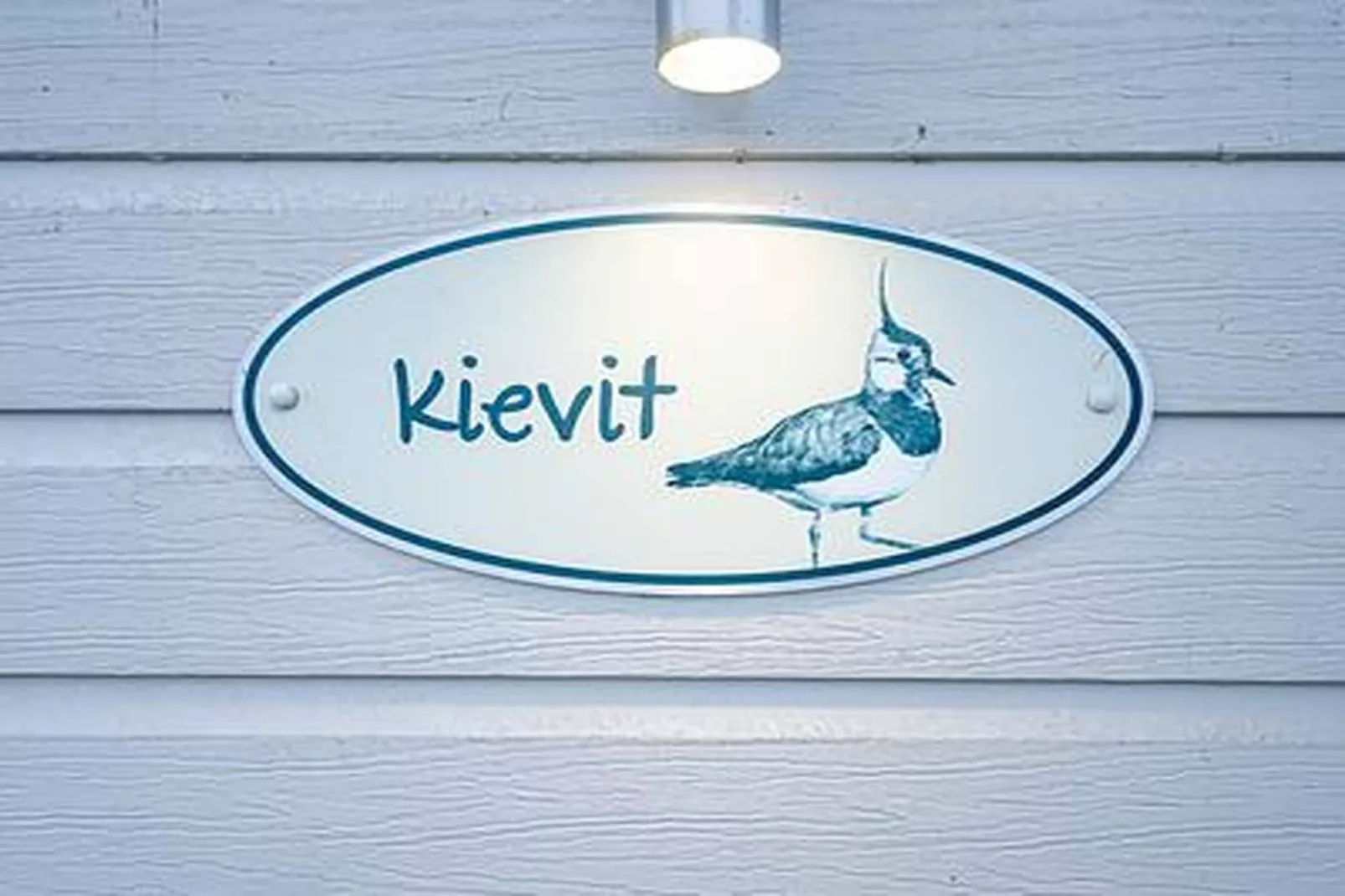 Duinhoeve Chalet Vogel - Huisdier niet toegestaan - Ambiance