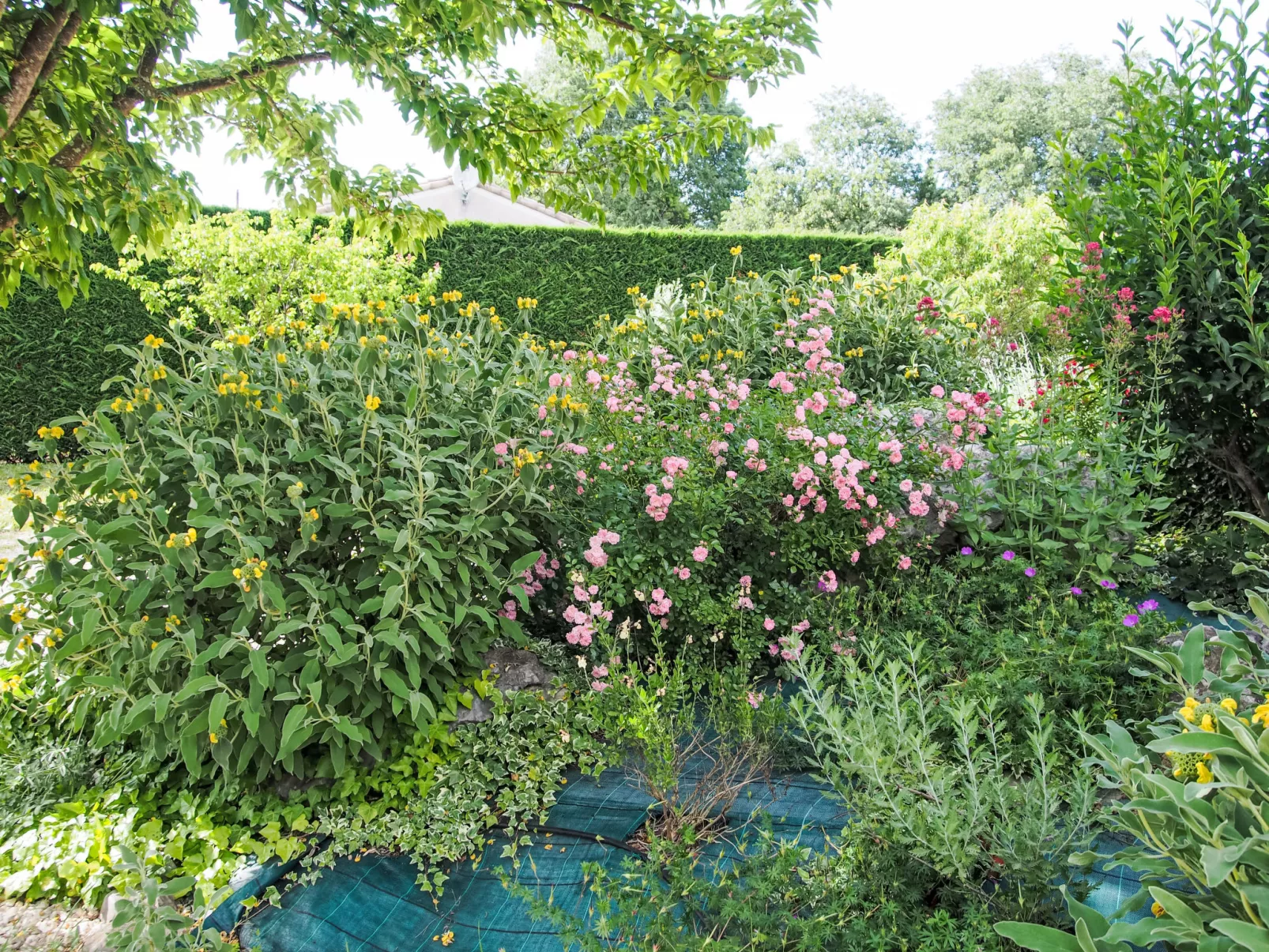 Urlaub im Süden zwischen Meer und Bergen - Outside