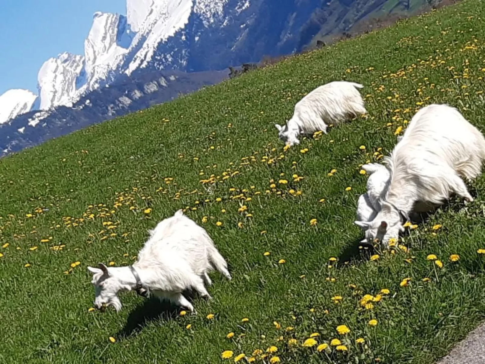 Hof Unterstein - Dehors