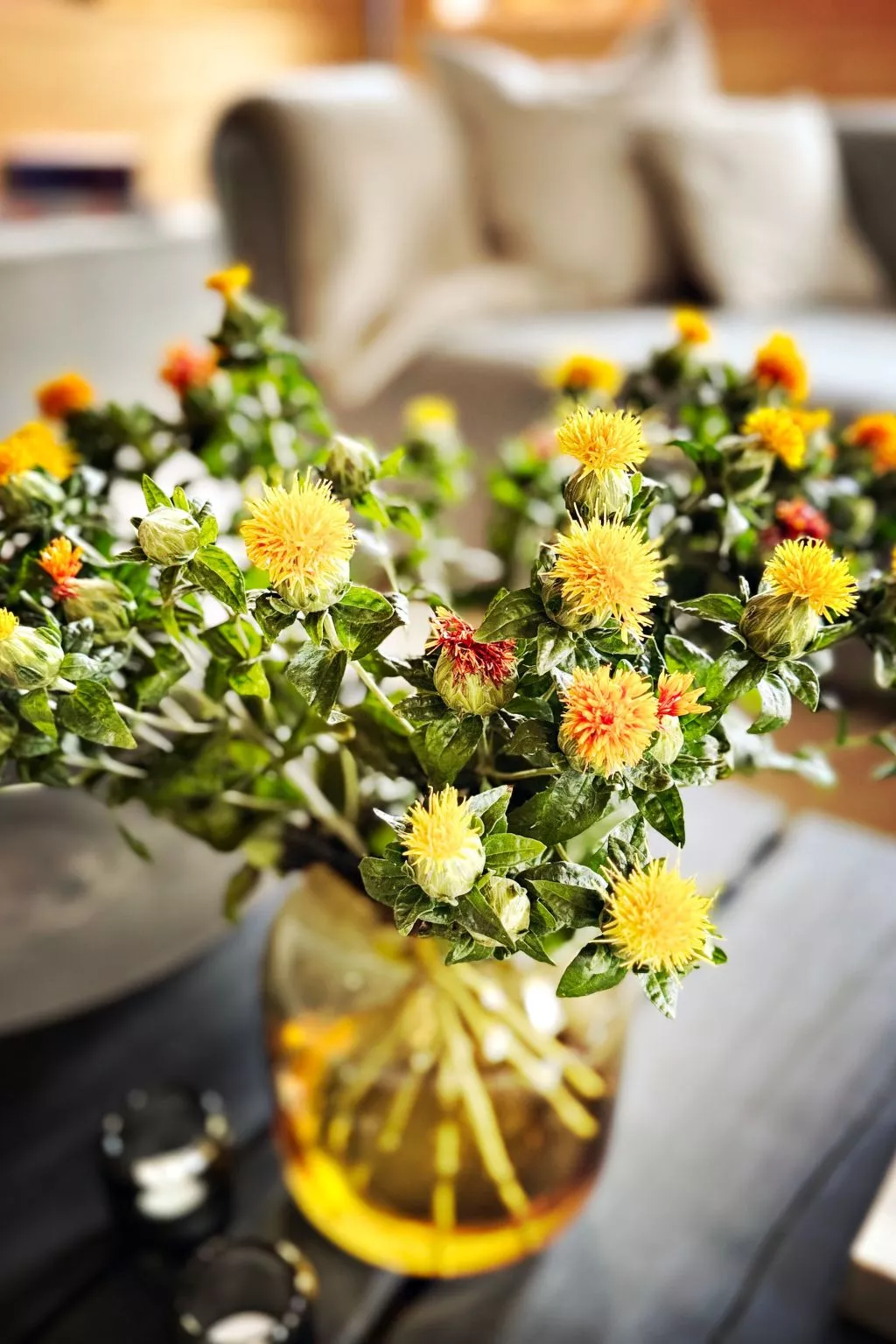 NEU!   dasErbhaus - Inside