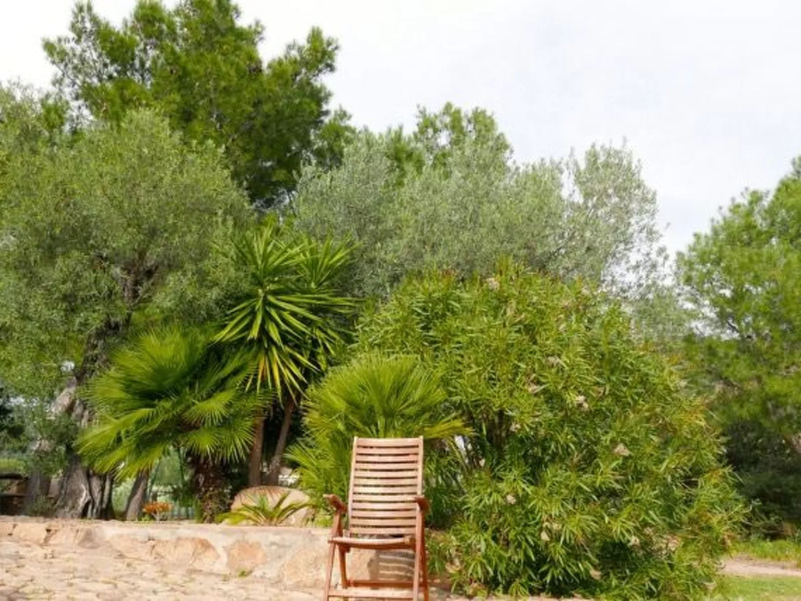 "Anania - Image-tags.info