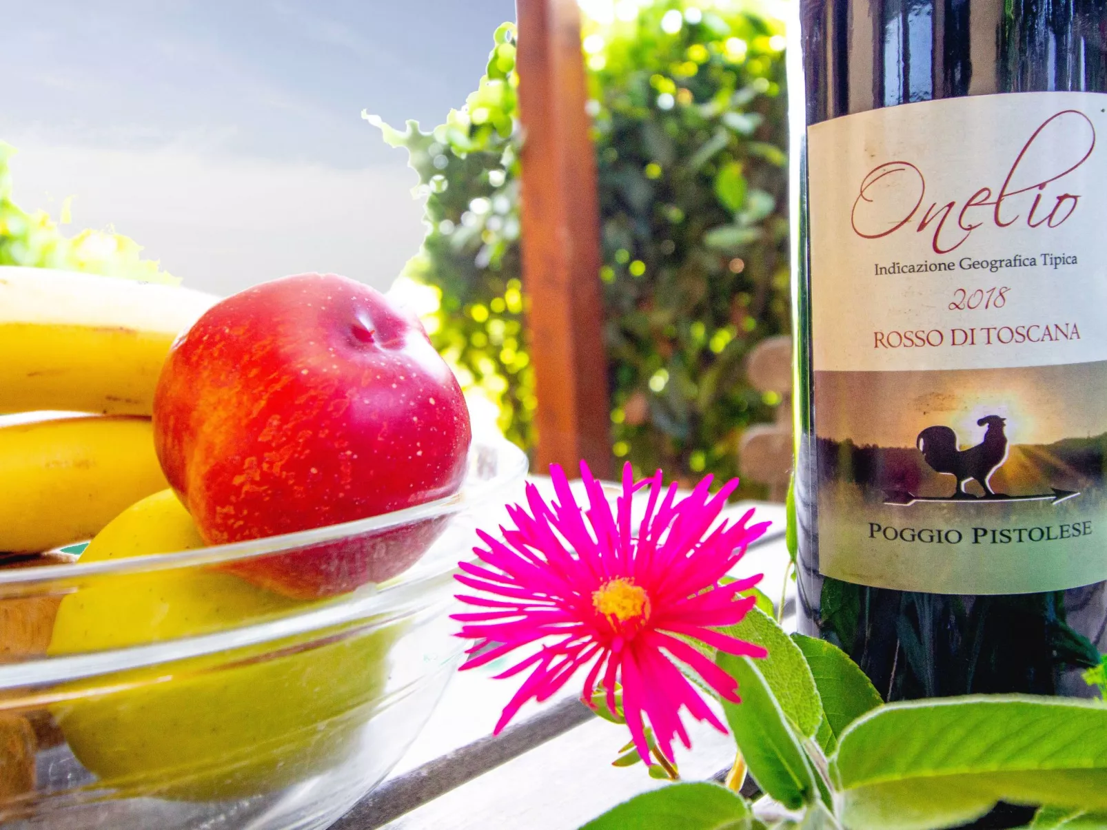 Gästezimmer 1 - Draußen