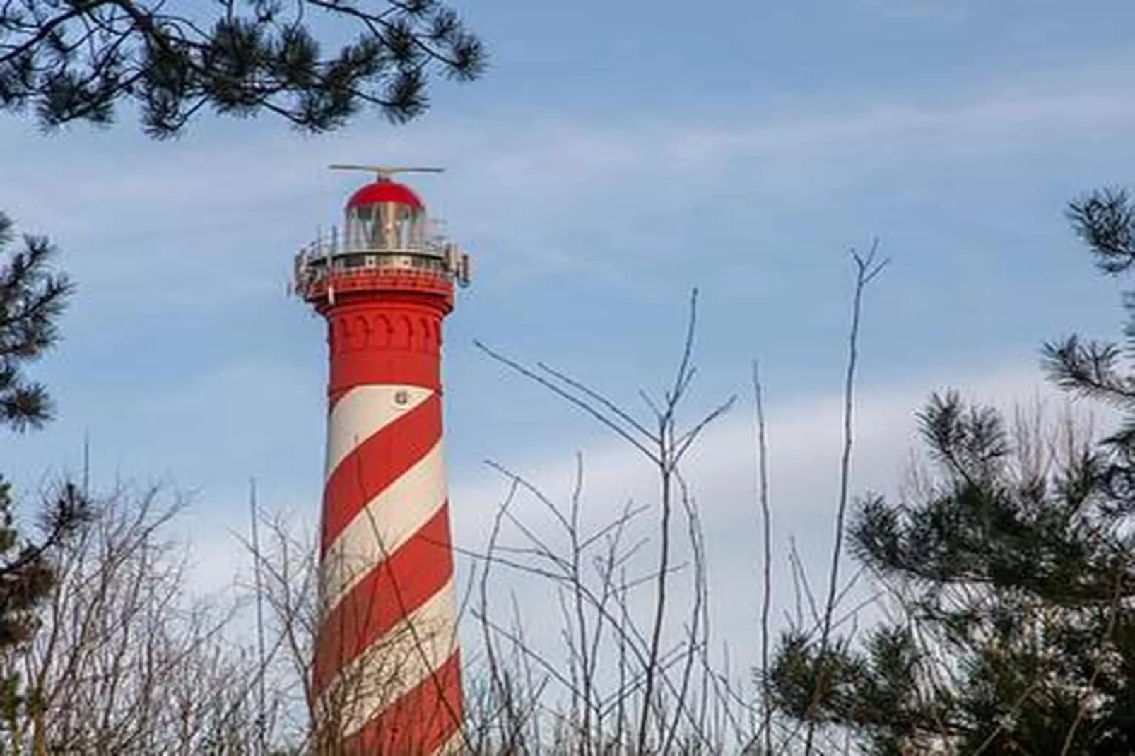 Duinhoeve Chalet Vogel - Huisdier niet toegestaan - Ambiance