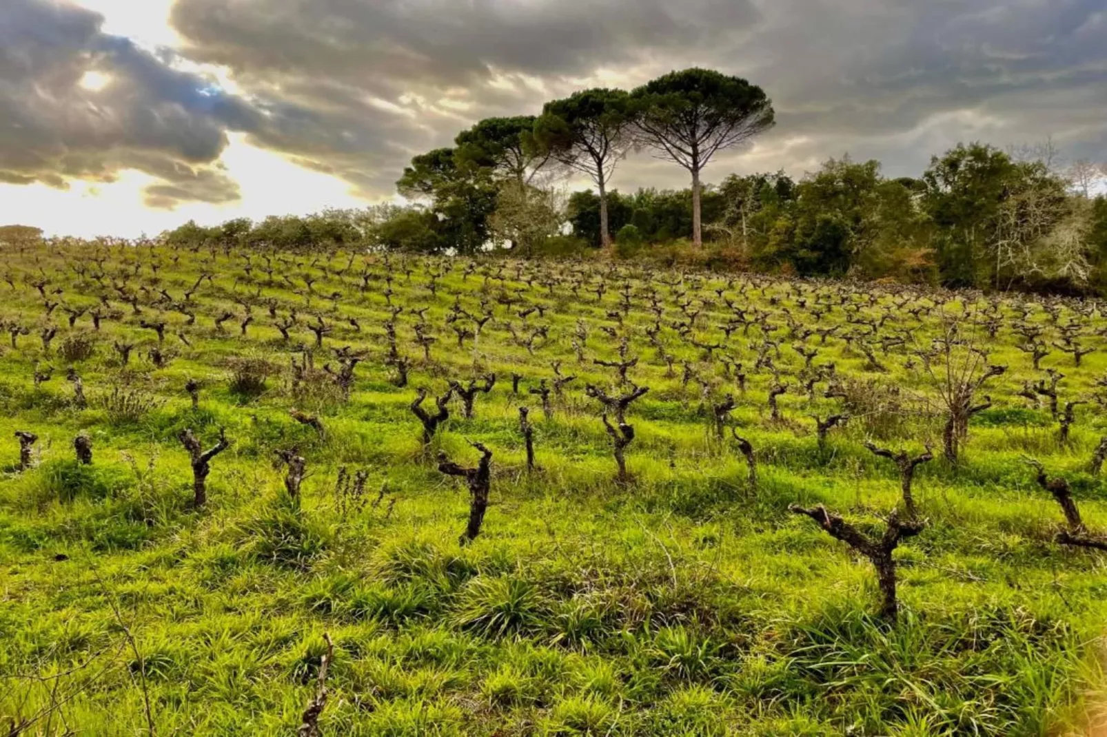 Casa Bela Esperança - Zones été à 20 km