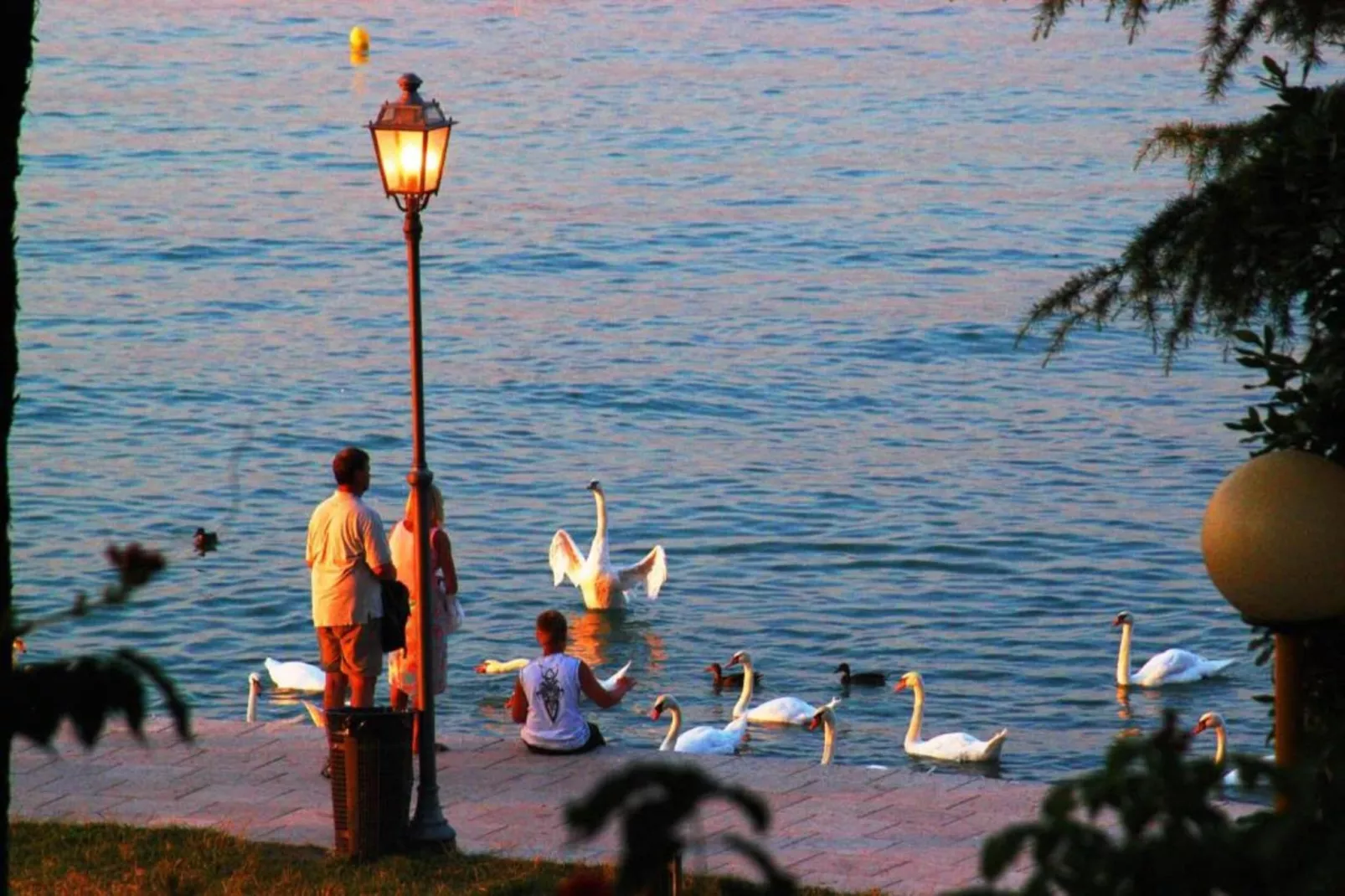 Garda Resort Village - IT-37019-001 - B4 1P Std - Gebiete Sommer 20 km