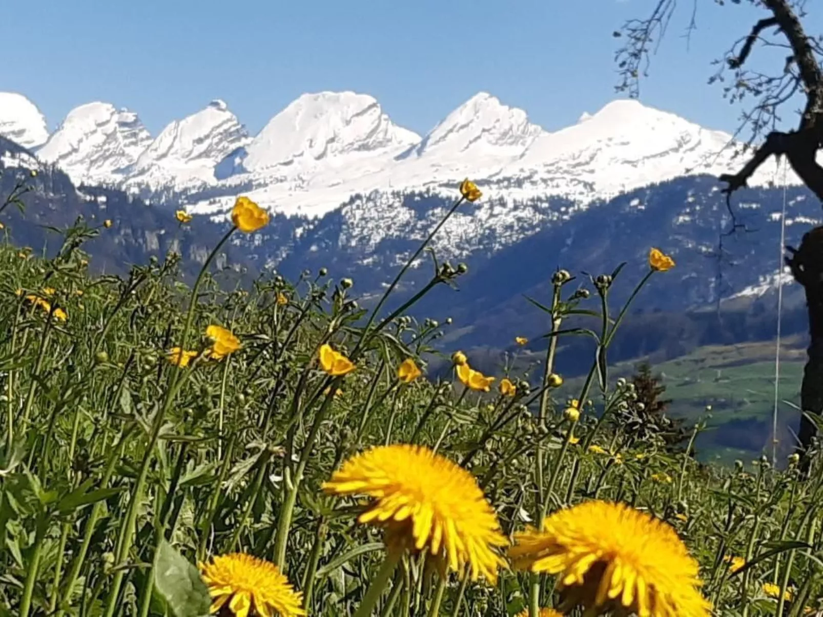 Hof Unterstein - Dehors