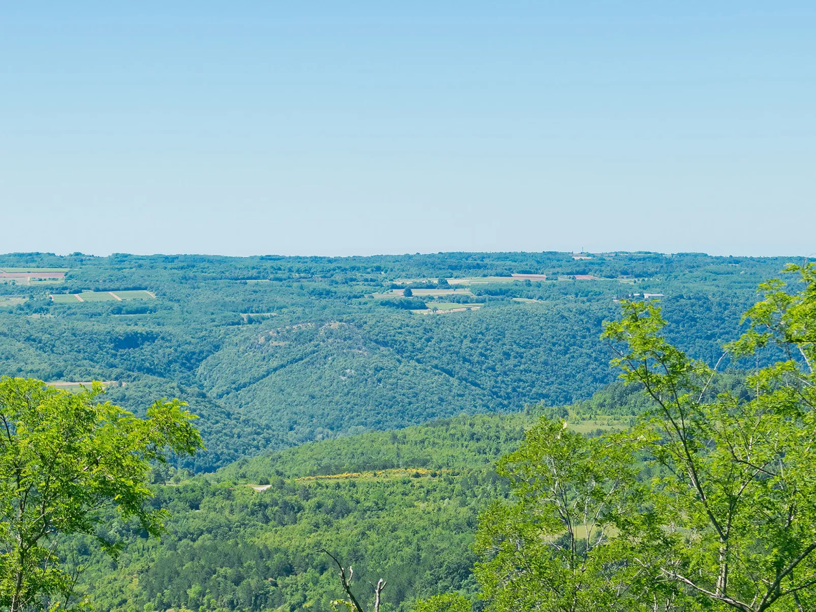 Margherita - Outside