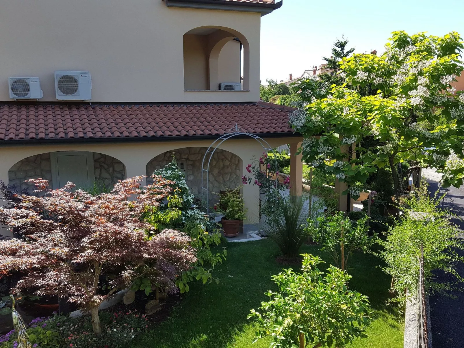 Ginkgo 4 - Image-tags.info