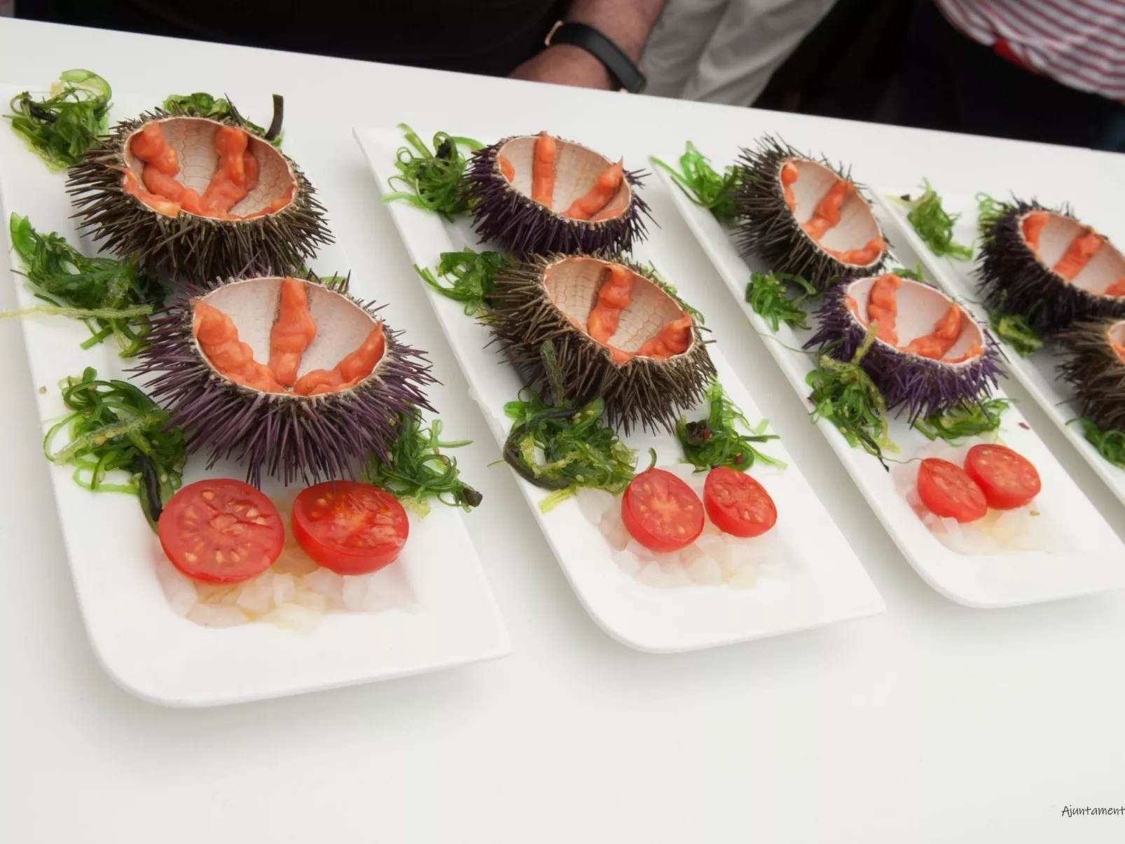 Villa Joan Salvat - Umgebung