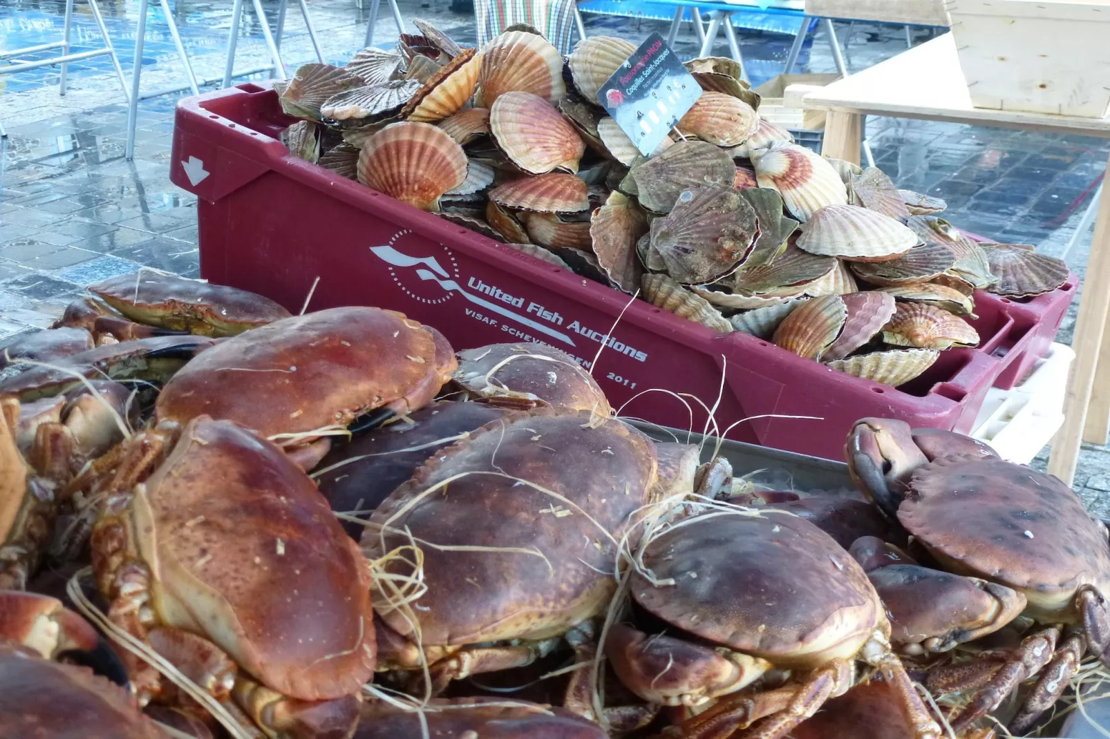 Charmante maison de vacances à 150 m de la plage - Zones été à 20 km