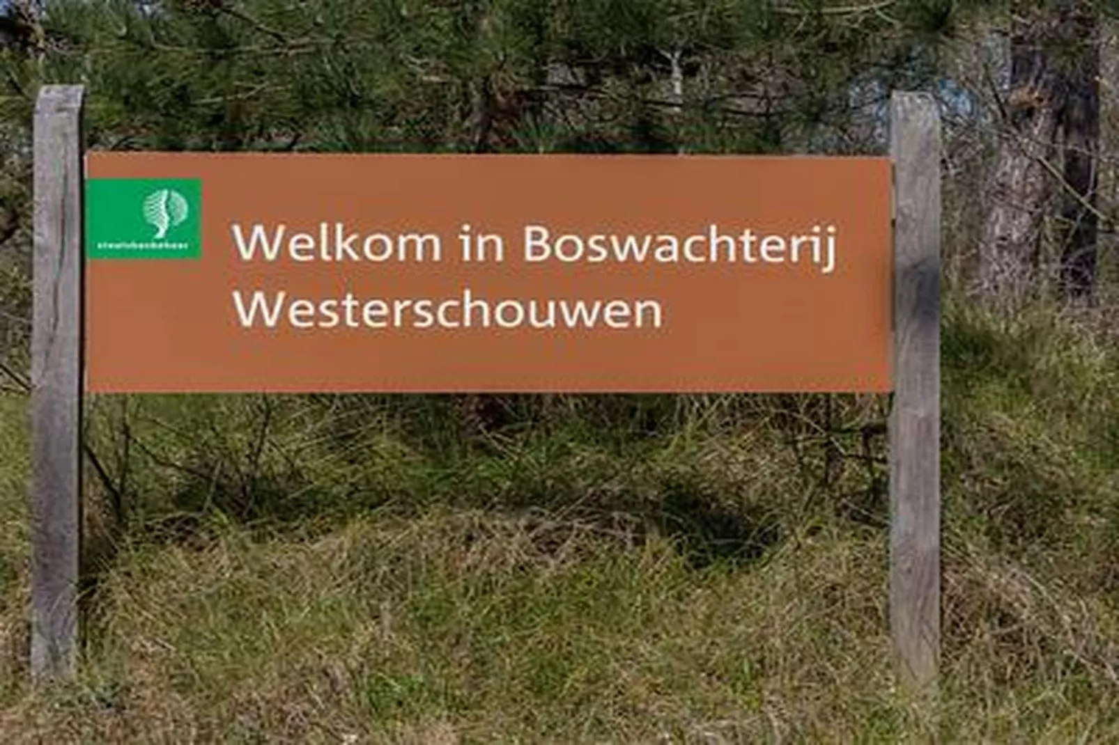 Duinhoeve Chalet Vogel - Huisdier niet toegestaan - Ambiance