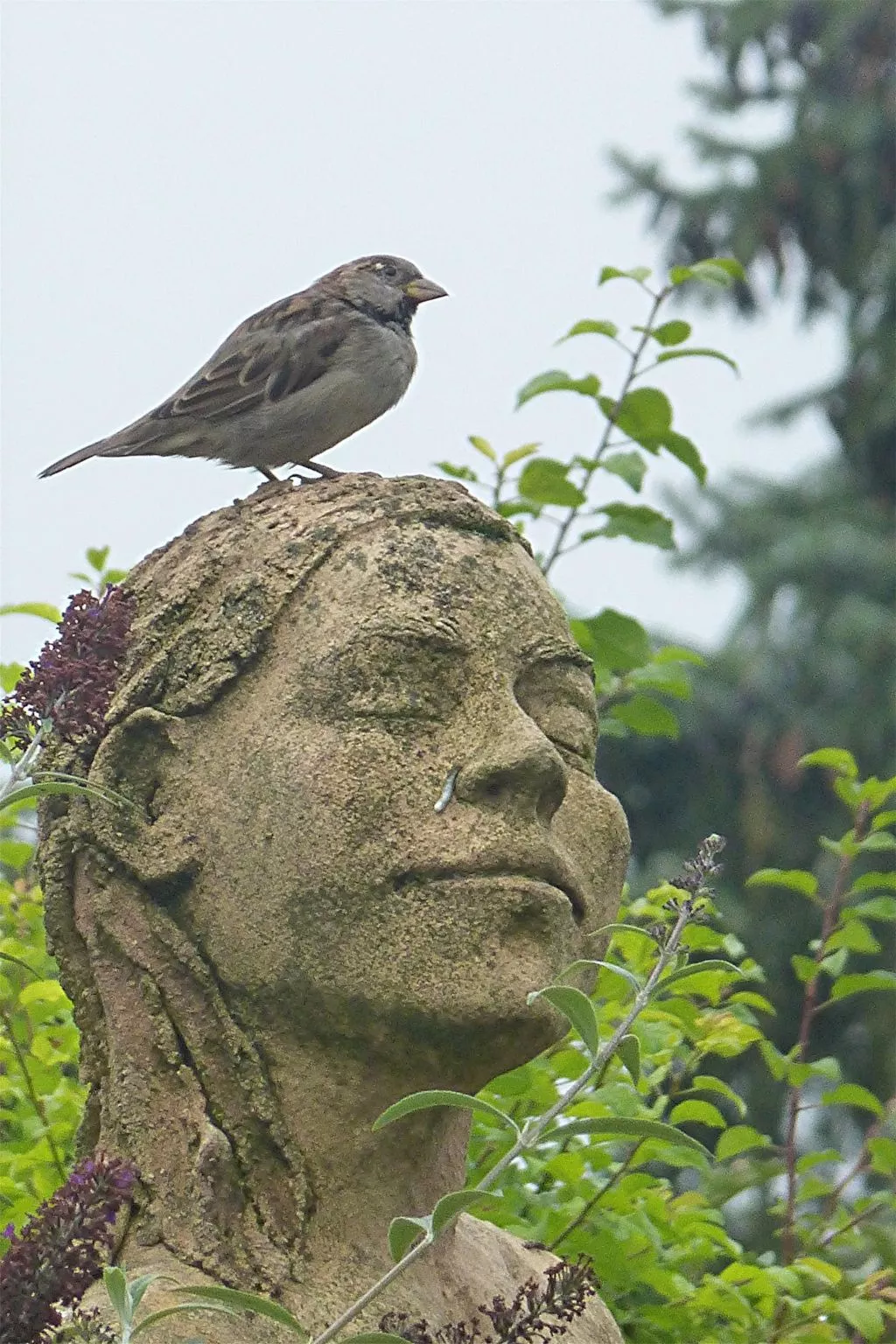 Villa Romantica - Image-tags.info