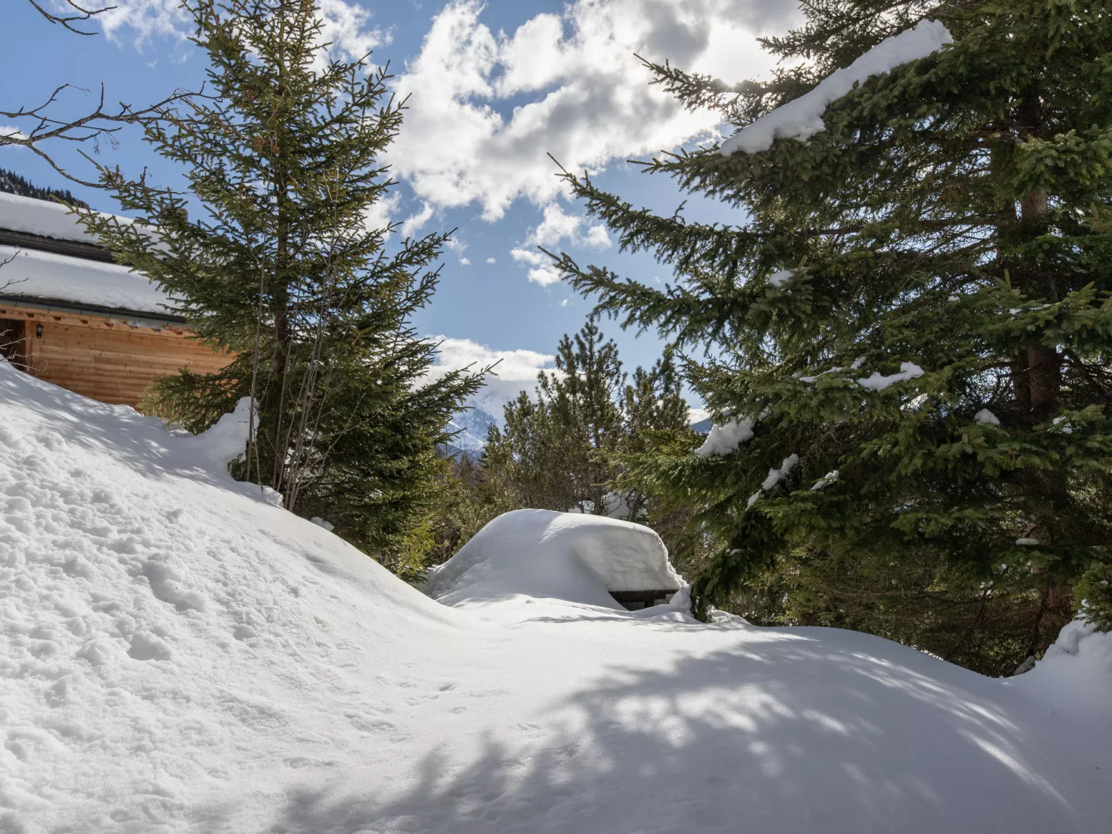 Veni, Vidi, Mansi - Draußen