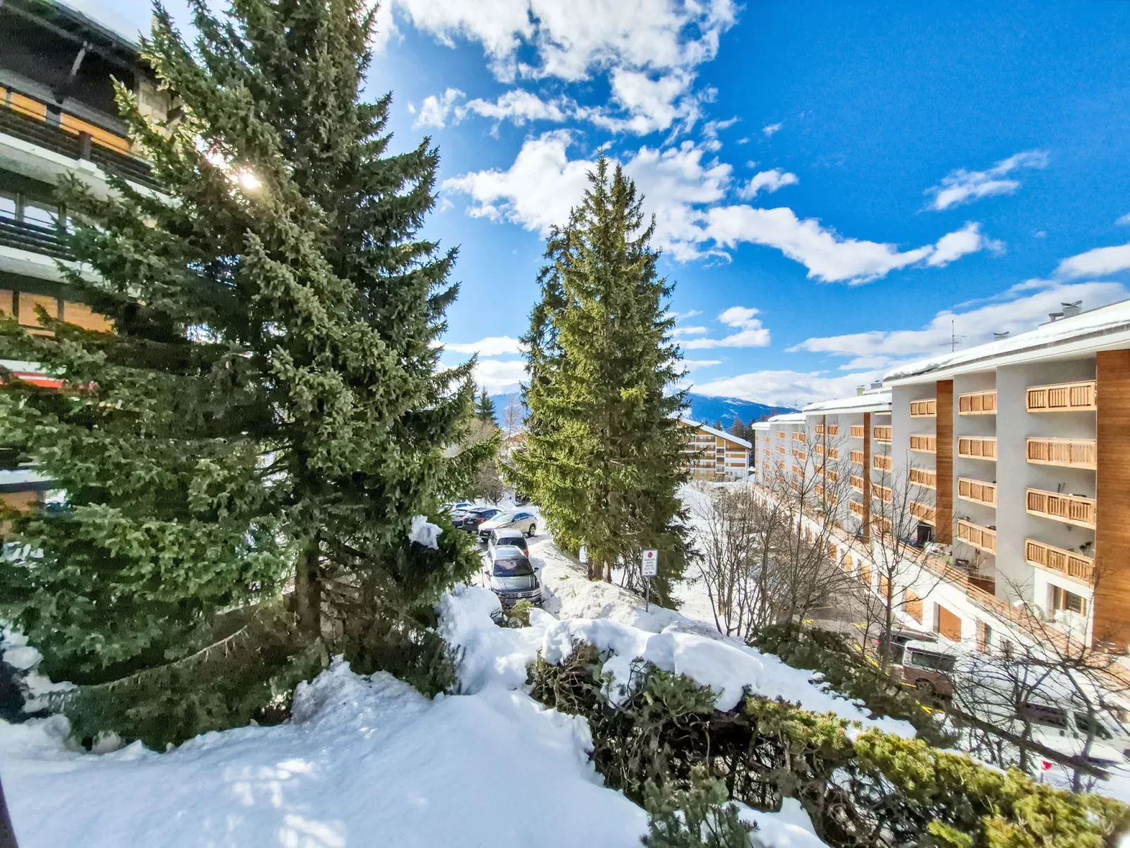 Violettes Vacances A303 - Dehors