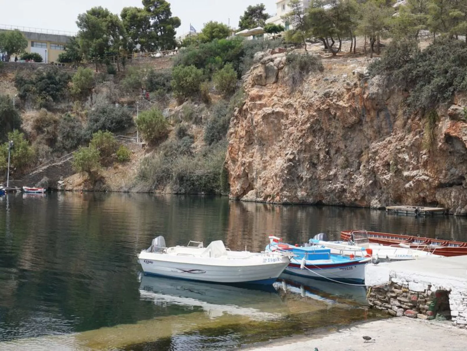 Oleander - Image-tags.info