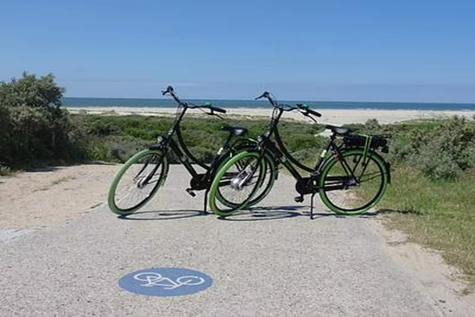 Duinhoeve Chalet Zeeland (huisdier toegestaan) - Ambiance