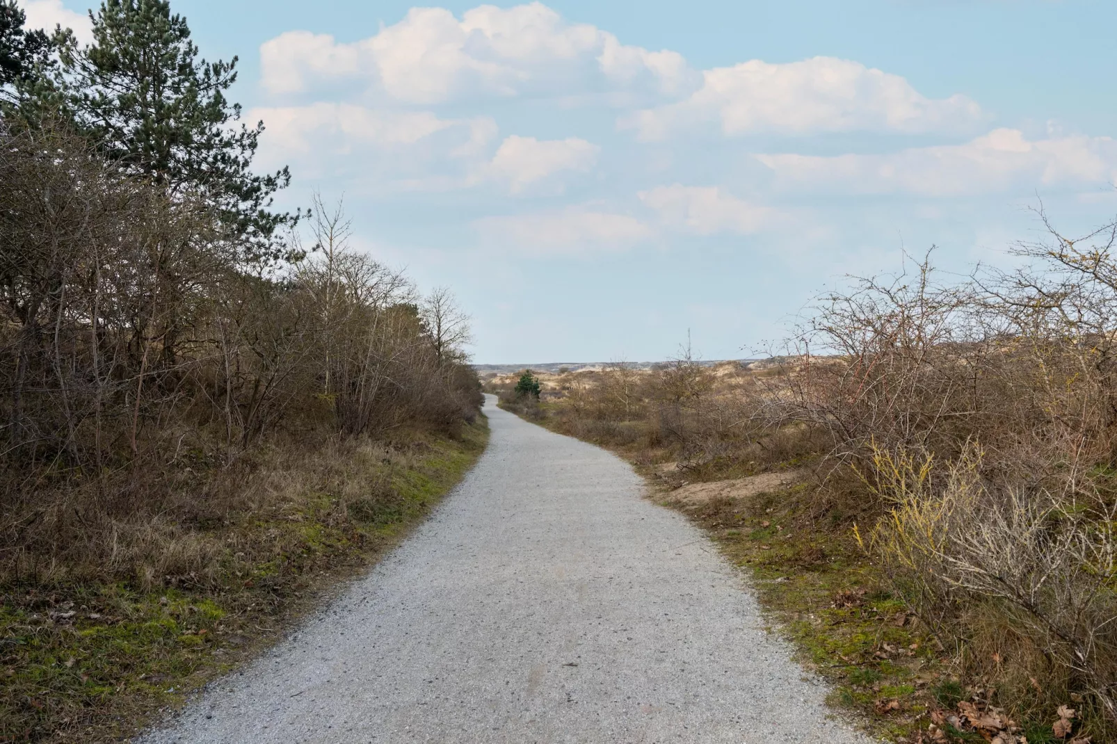 De Zilvermeeuw - Gebiete Sommer 5 km