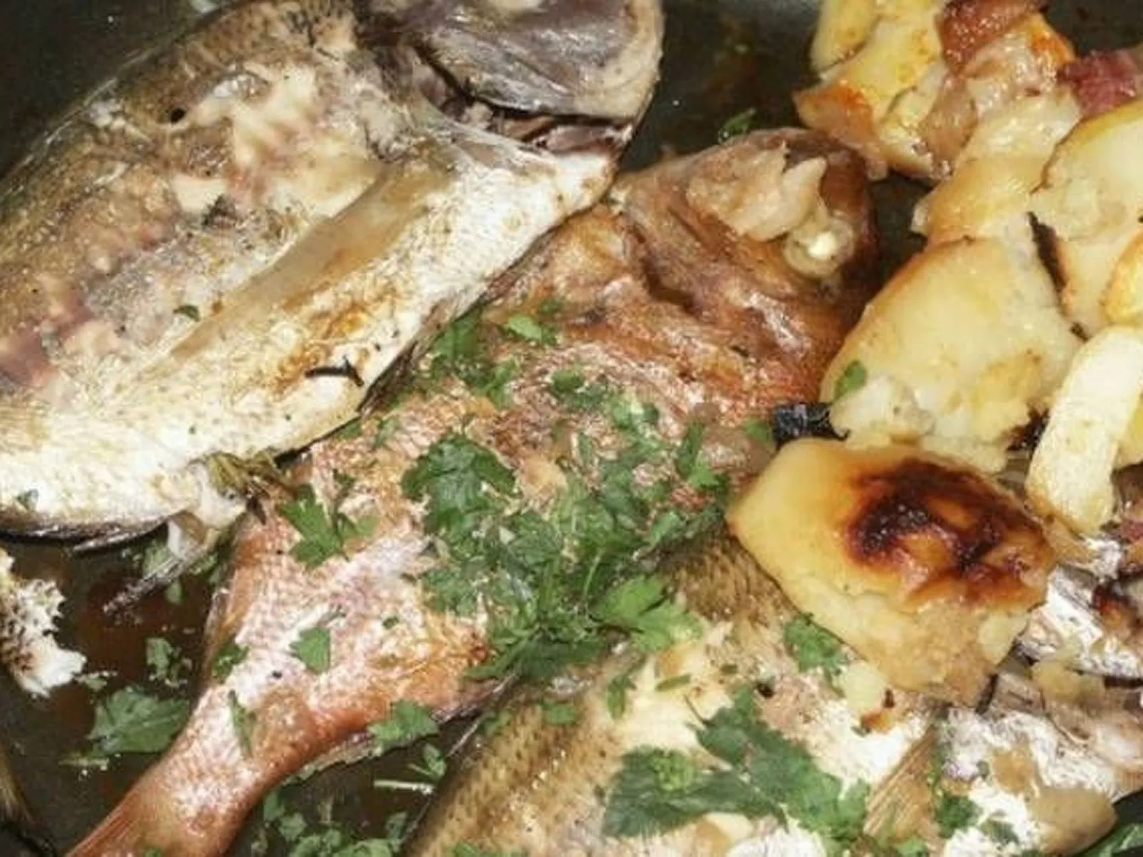 3. Etage Doppelbettzimmer ca. 20m² mit Balkon und Panoramameerblick Villa Milic - Image-tags.info