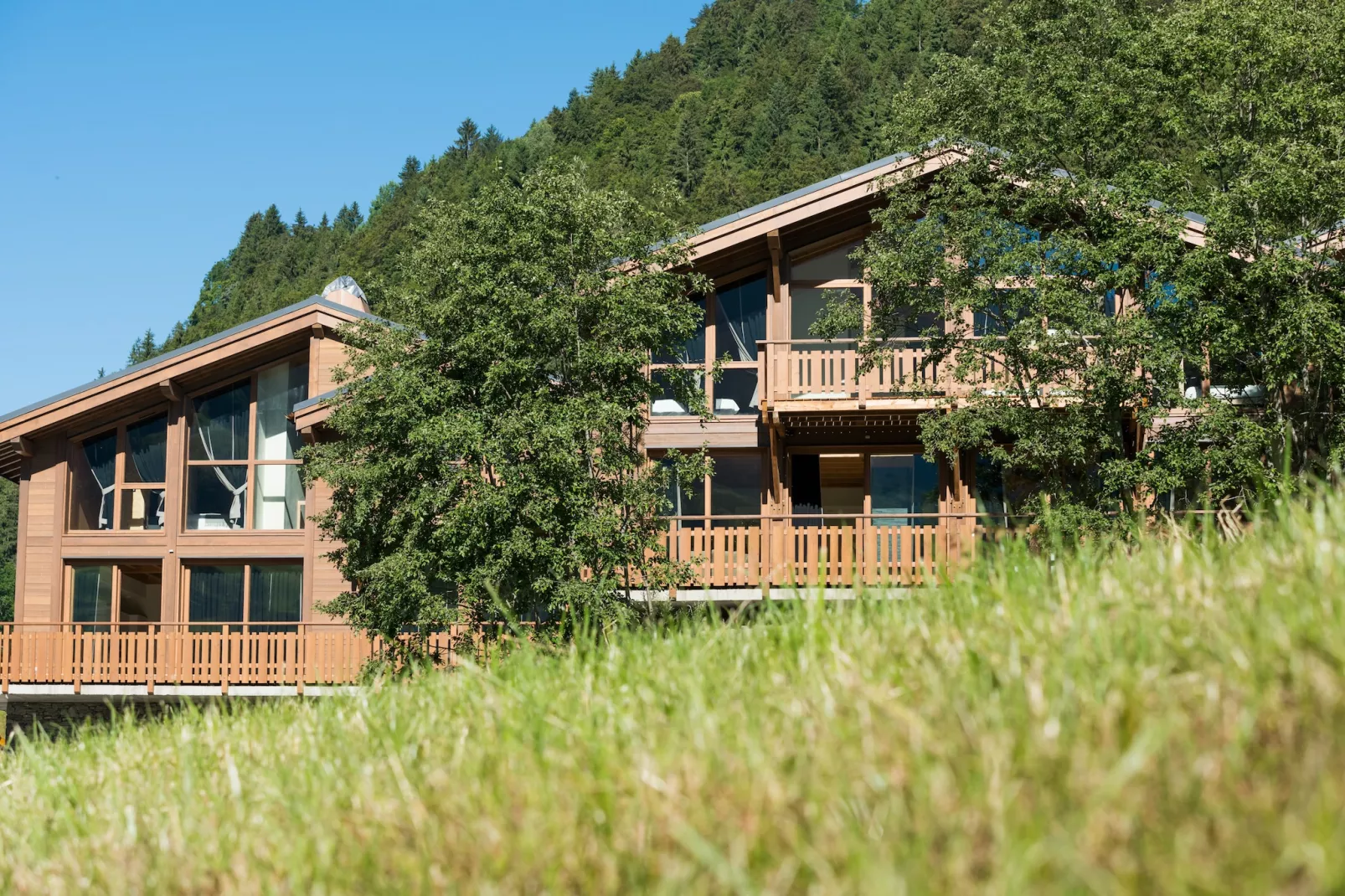 Les Portes de Megève 7 - Extérieur été