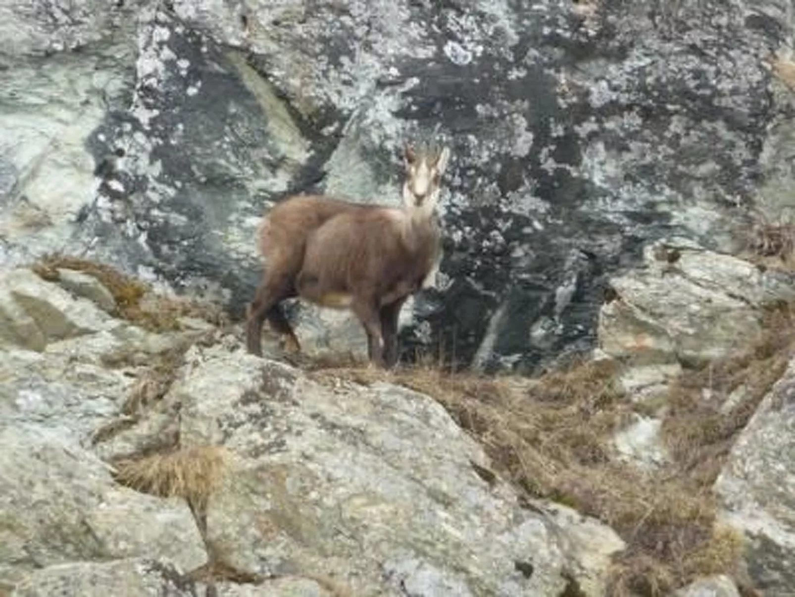 Chalet Le Murmure du Torrent - Image-tags.info