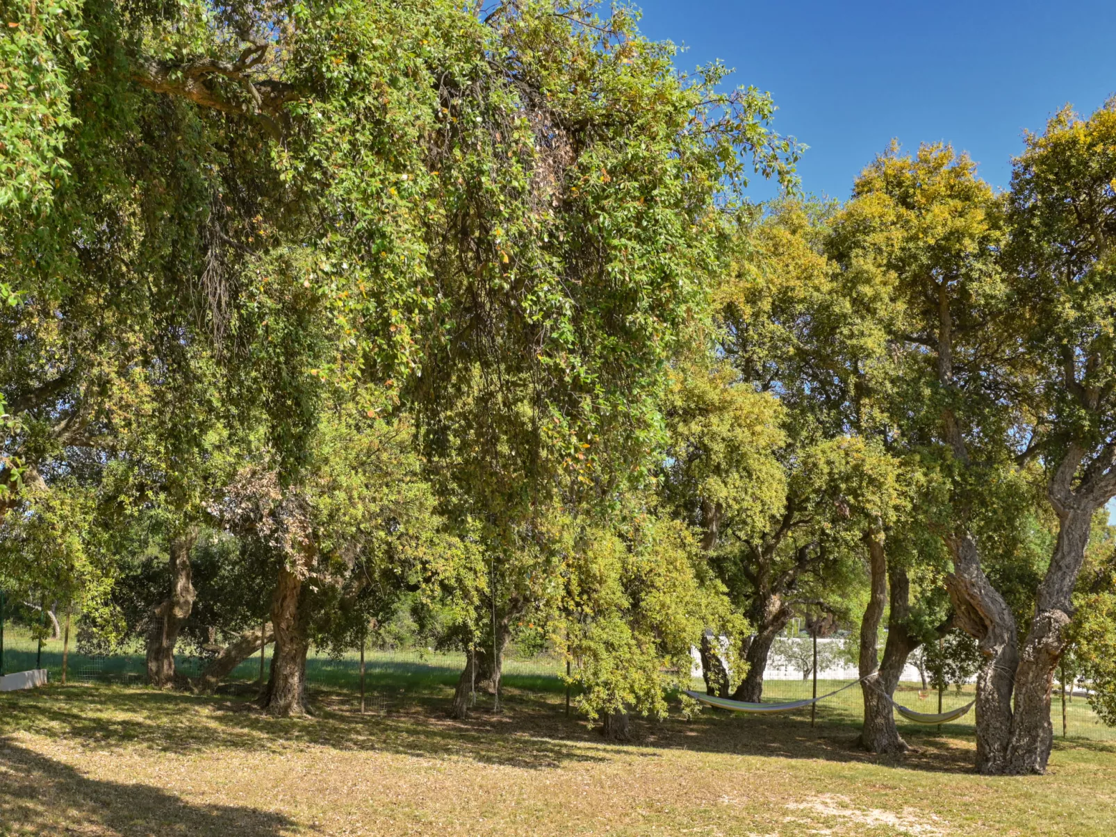 Montevernal - Draußen